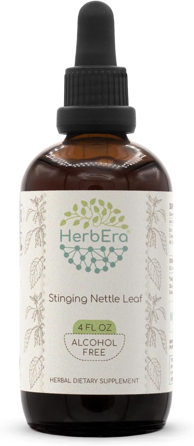 HerbEra Stinging Nettle Leaf B120 Alcohol-Free Herbal Extract Tincture - 4 fl oz Concentrated Liquid Drops