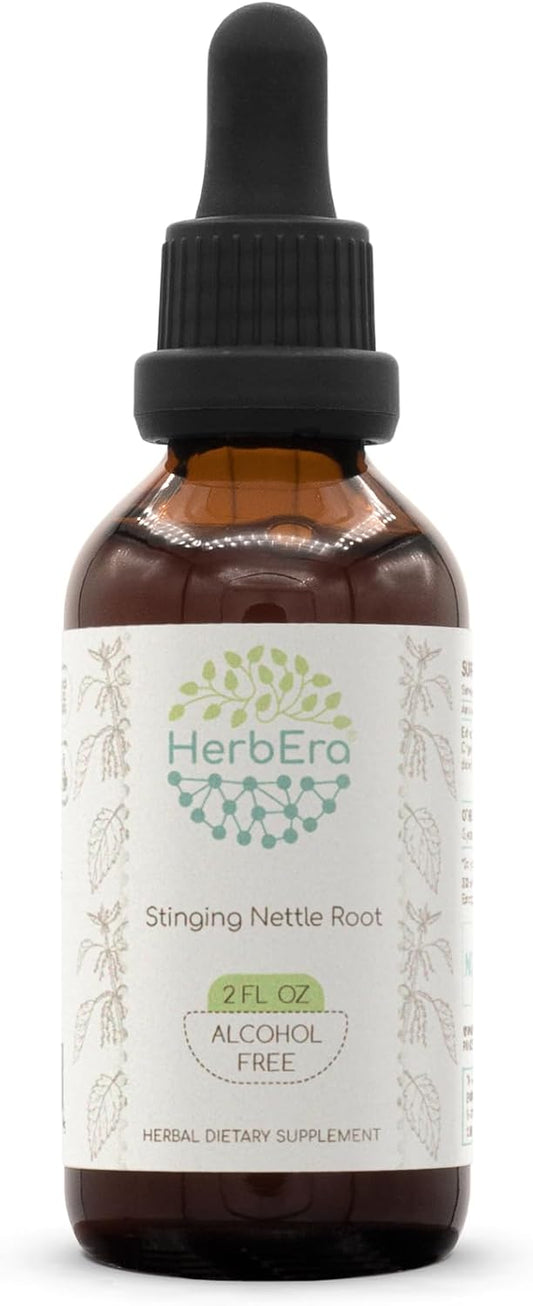 HerbEra Stinging Nettle Root Herbal Extract Tincture - Alcohol-Free Concentrated Drops - 2 fl oz Bottle