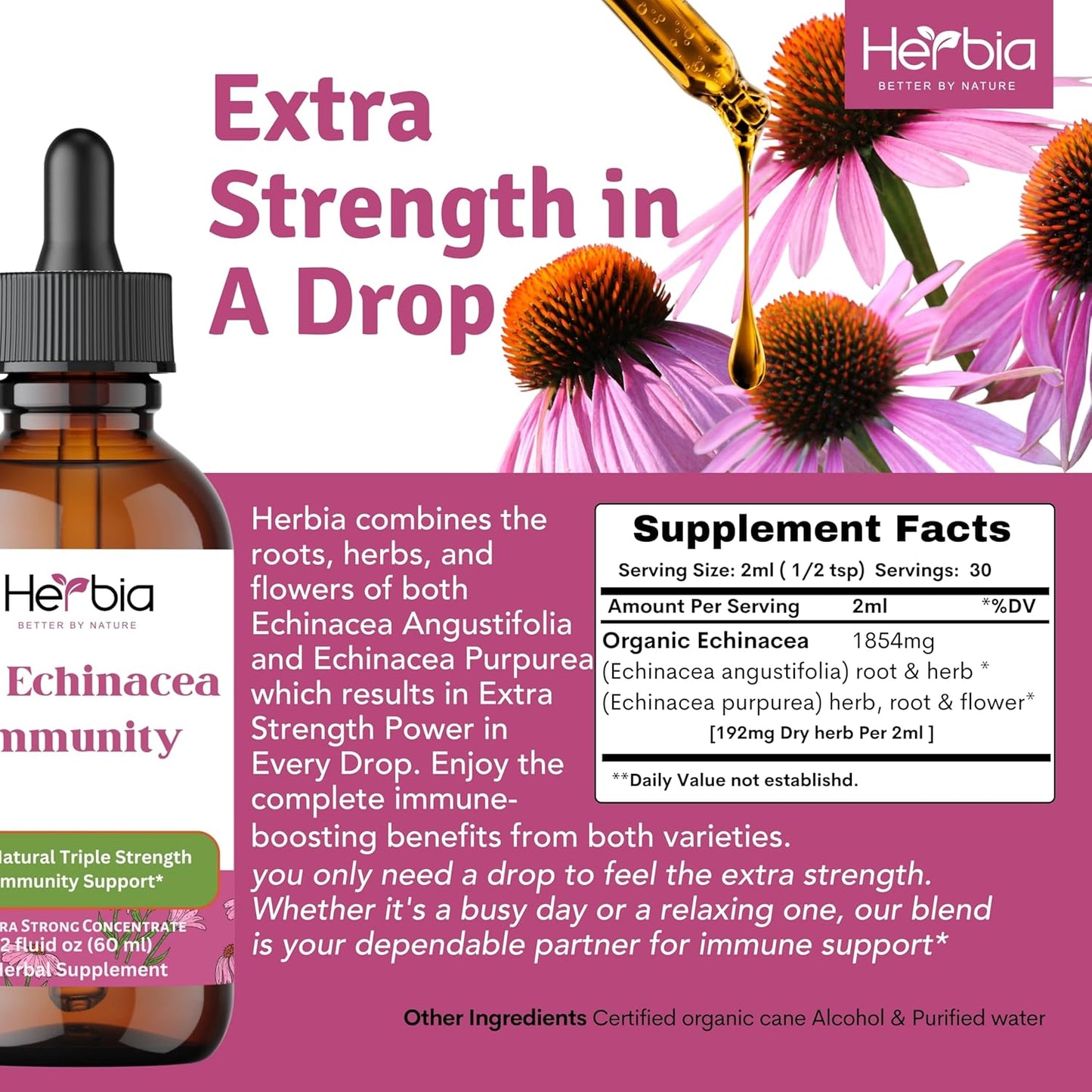 HERBIA Echinacea Immunity Blend - 3X Strength Organic Concentrated Extract for Immune Support (2 fl oz)