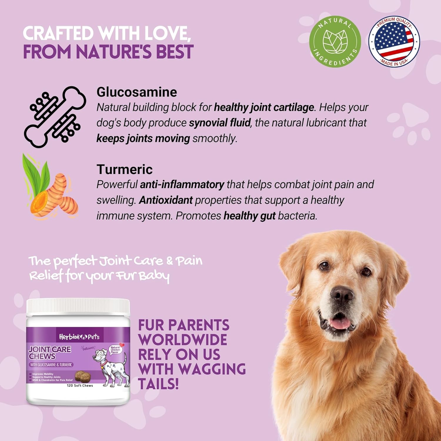 Herbion Naturals Joint Care Chews for Dogs - 120 Soft Chews with Glucosamine, Turmeric, MSM, and Chondroitin - Pain Relief and Improved Mobility - Made in USA