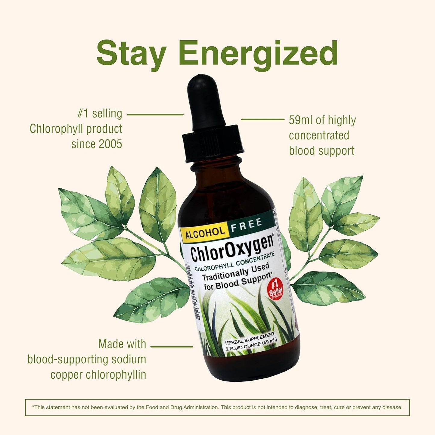 Herbs Etc. ChlorOxygen Chlorophyll Concentrate - Boost Energy & Blood Circulation - Natural Vitality Support - Alcohol-Free - 2 fl oz