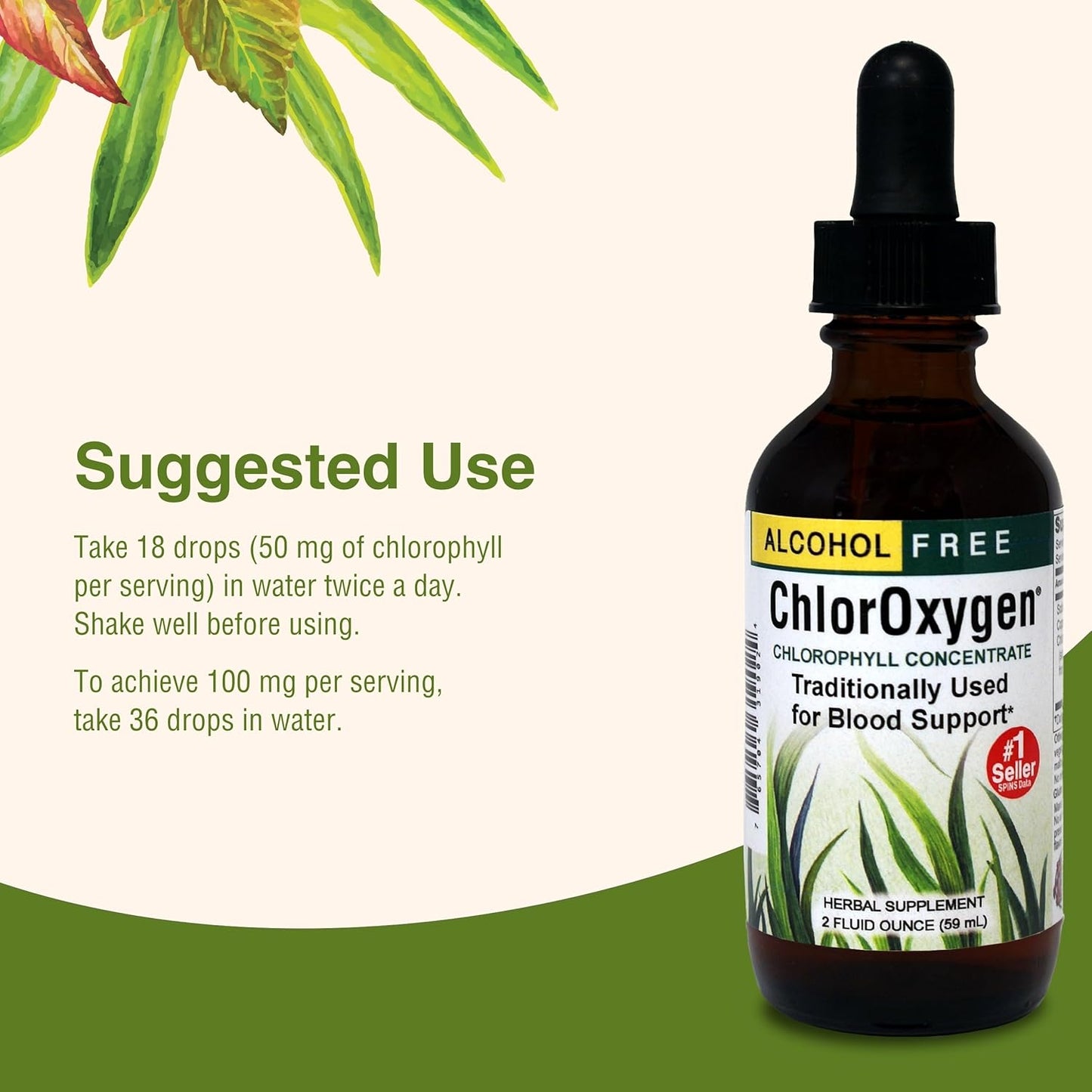 Herbs Etc. ChlorOxygen Chlorophyll Concentrate - Boost Energy & Blood Circulation - Natural Vitality Support - Alcohol-Free - 2 fl oz
