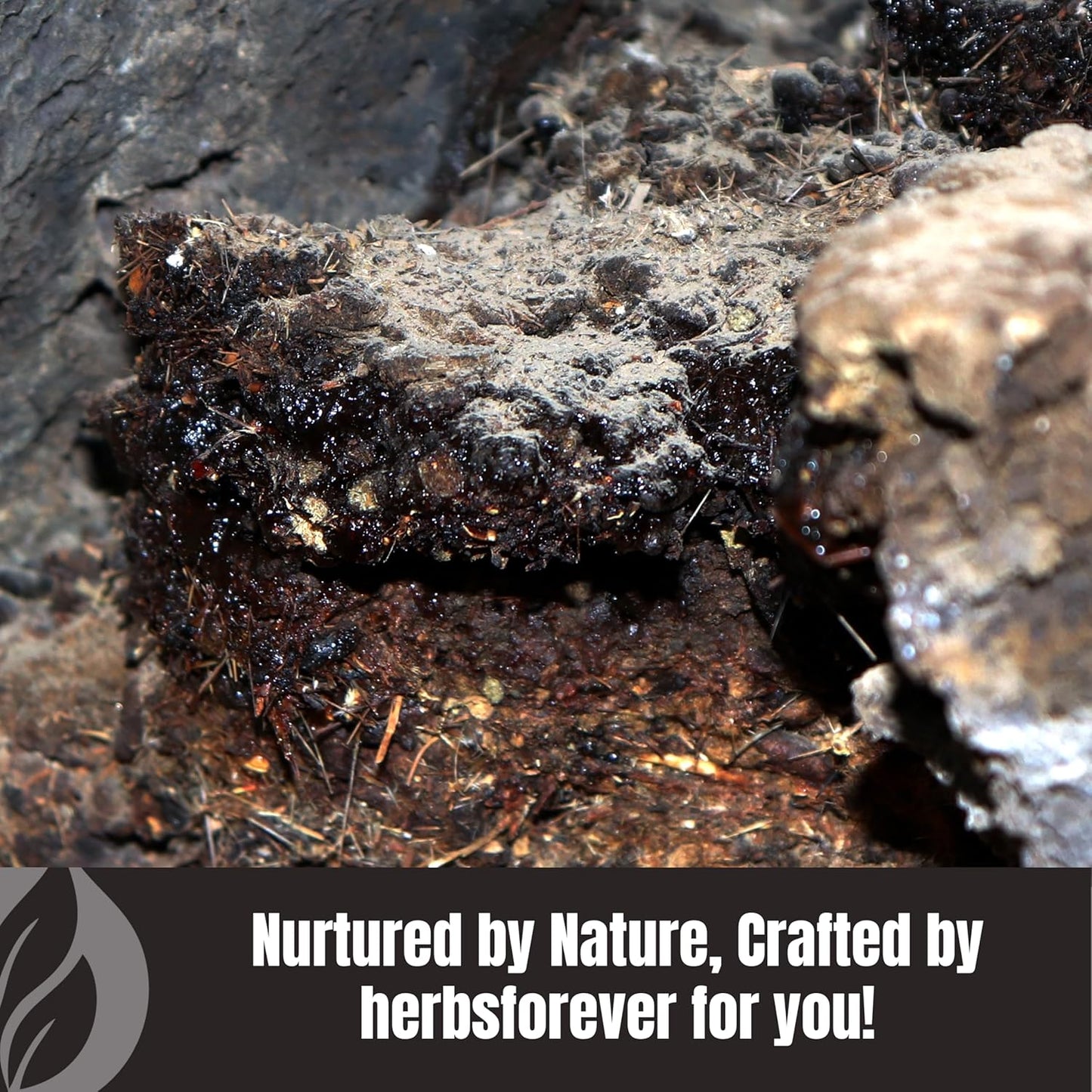 Herbsforever Shilajit Powder 6:1 Extract for General Wellness - 8.11 oz (230 GMS) - Antioxidant Mineral Pitch