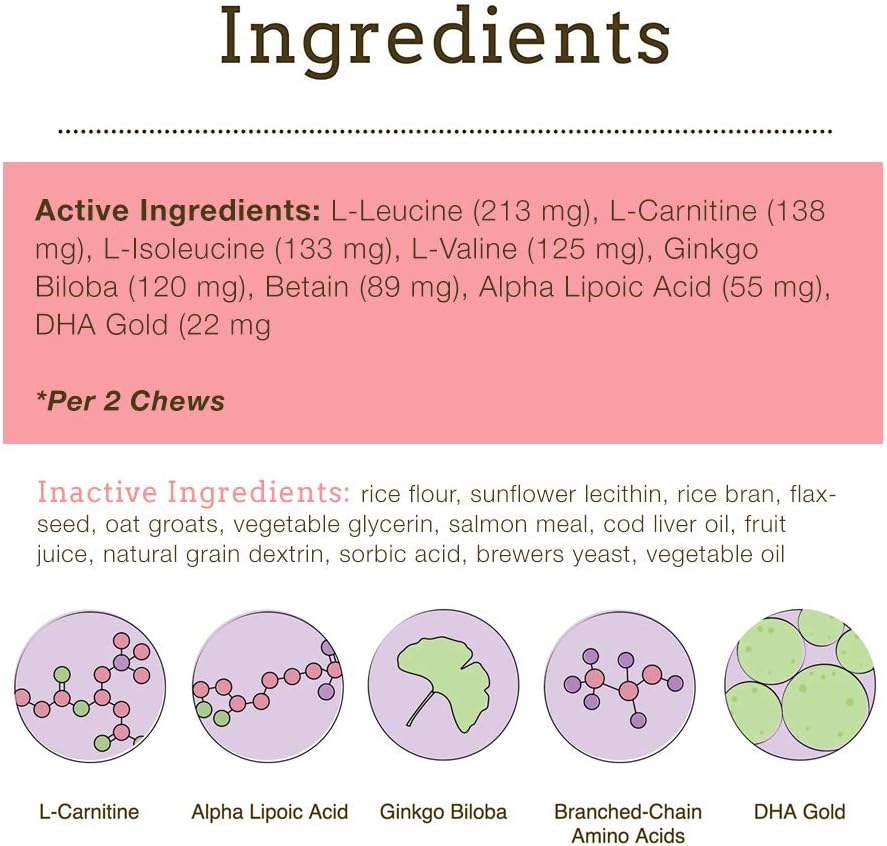 Herbsmith Senior Dog Wisdom DHA Supplement for Dog Dementia & Brain Health - 60ct Large Chews