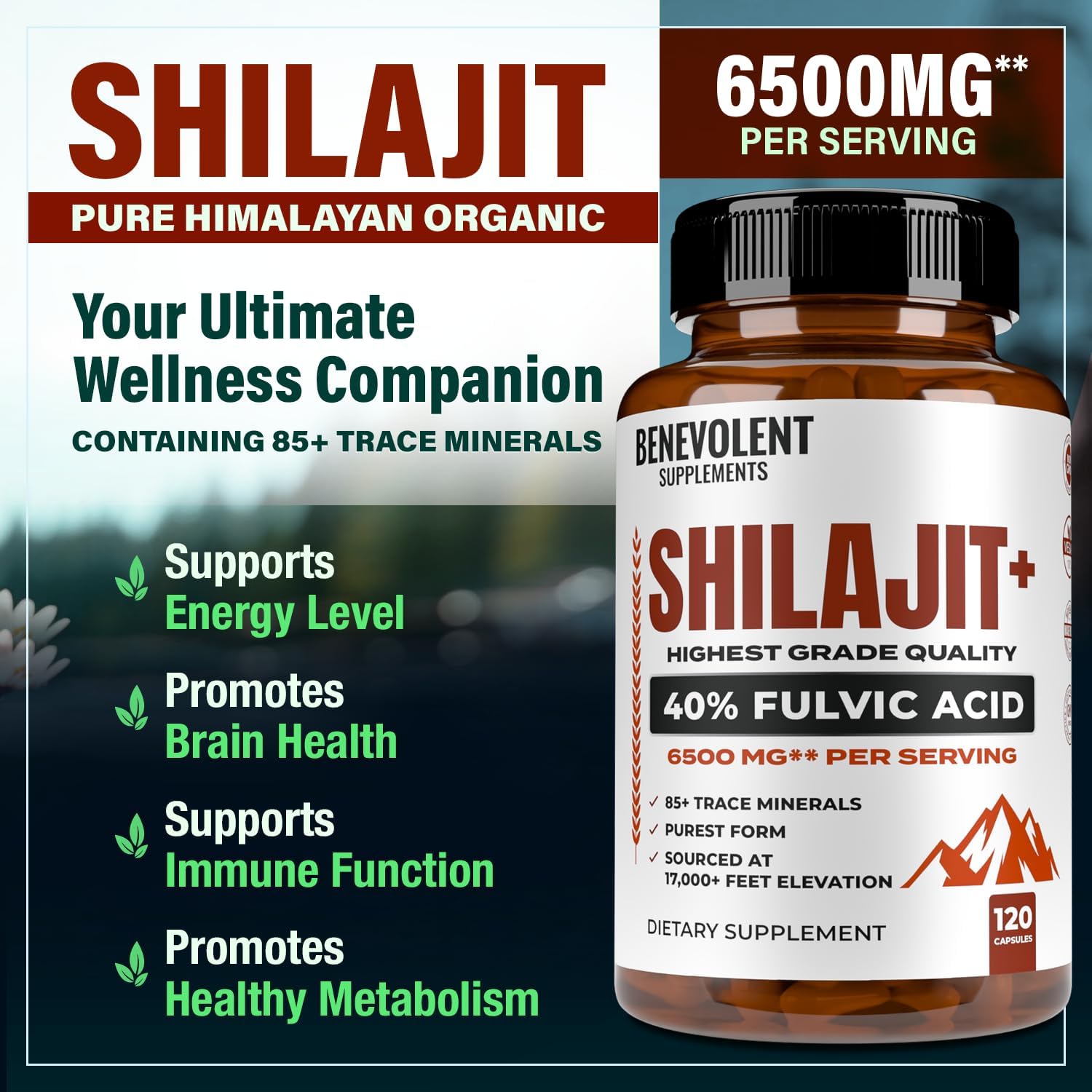 High Absorption 6,500mg Shilajit Supplement with 40% Fulvic Acid - Boost Energy & Immune Health - 120 Capsules