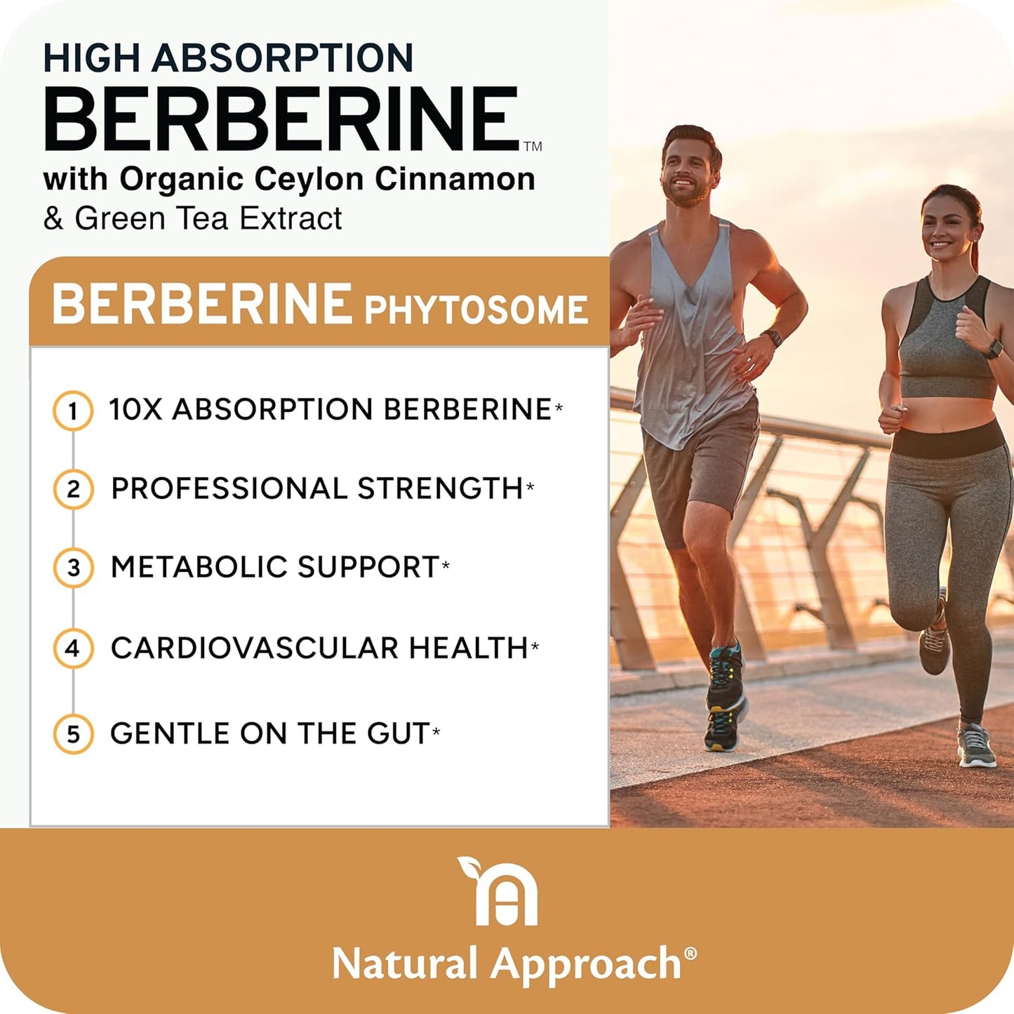 High Absorption Berberine Phytosome with Ceylon Cinnamon and Green Tea Extract - Metabolic Support for Women and Men - Berberis Aristata Supplement - 90 Capsules