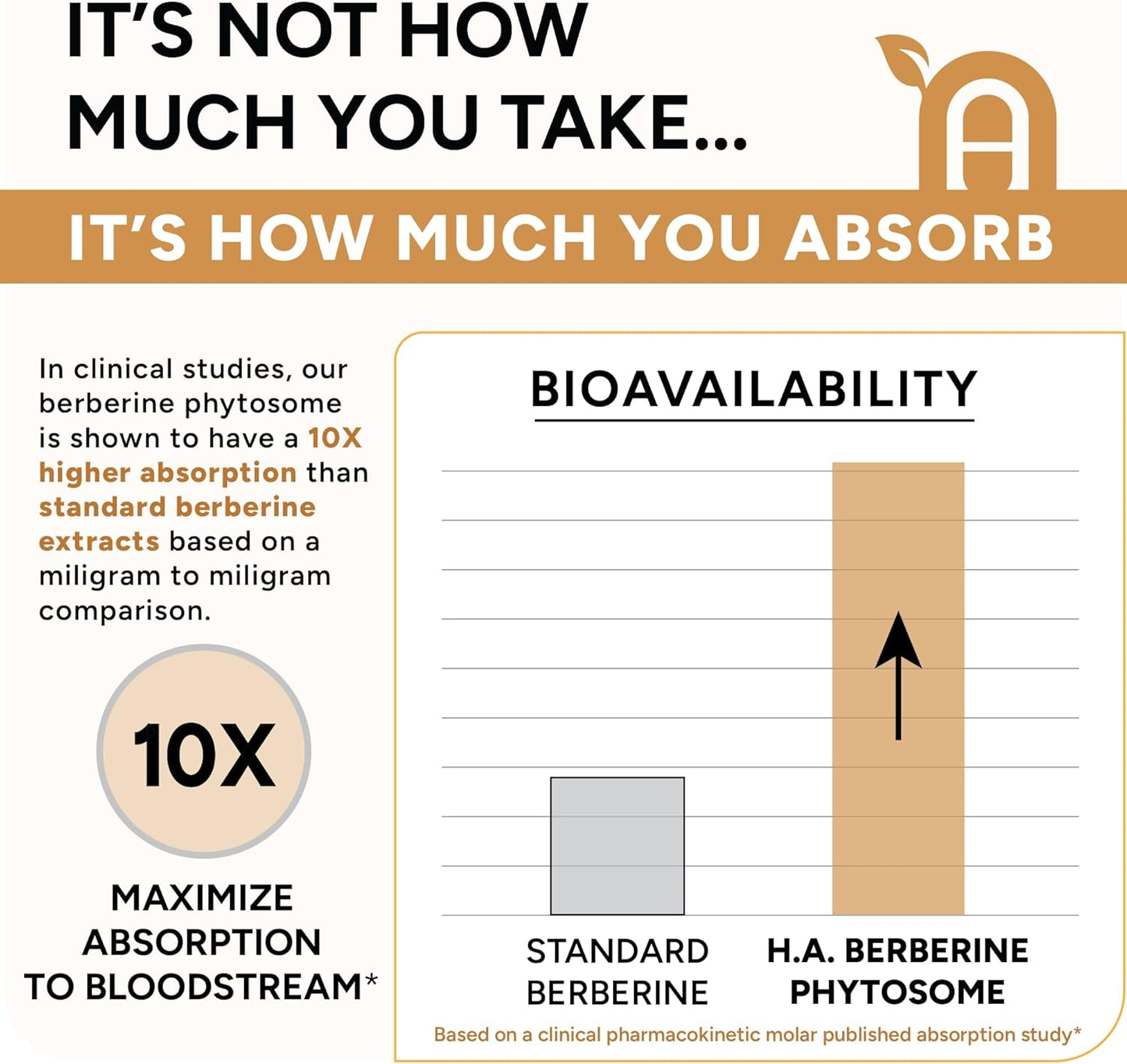 High Absorption Berberine Phytosome with Ceylon Cinnamon and Green Tea Extract - Metabolic Support for Women and Men - Berberis Aristata Supplement - 90 Capsules