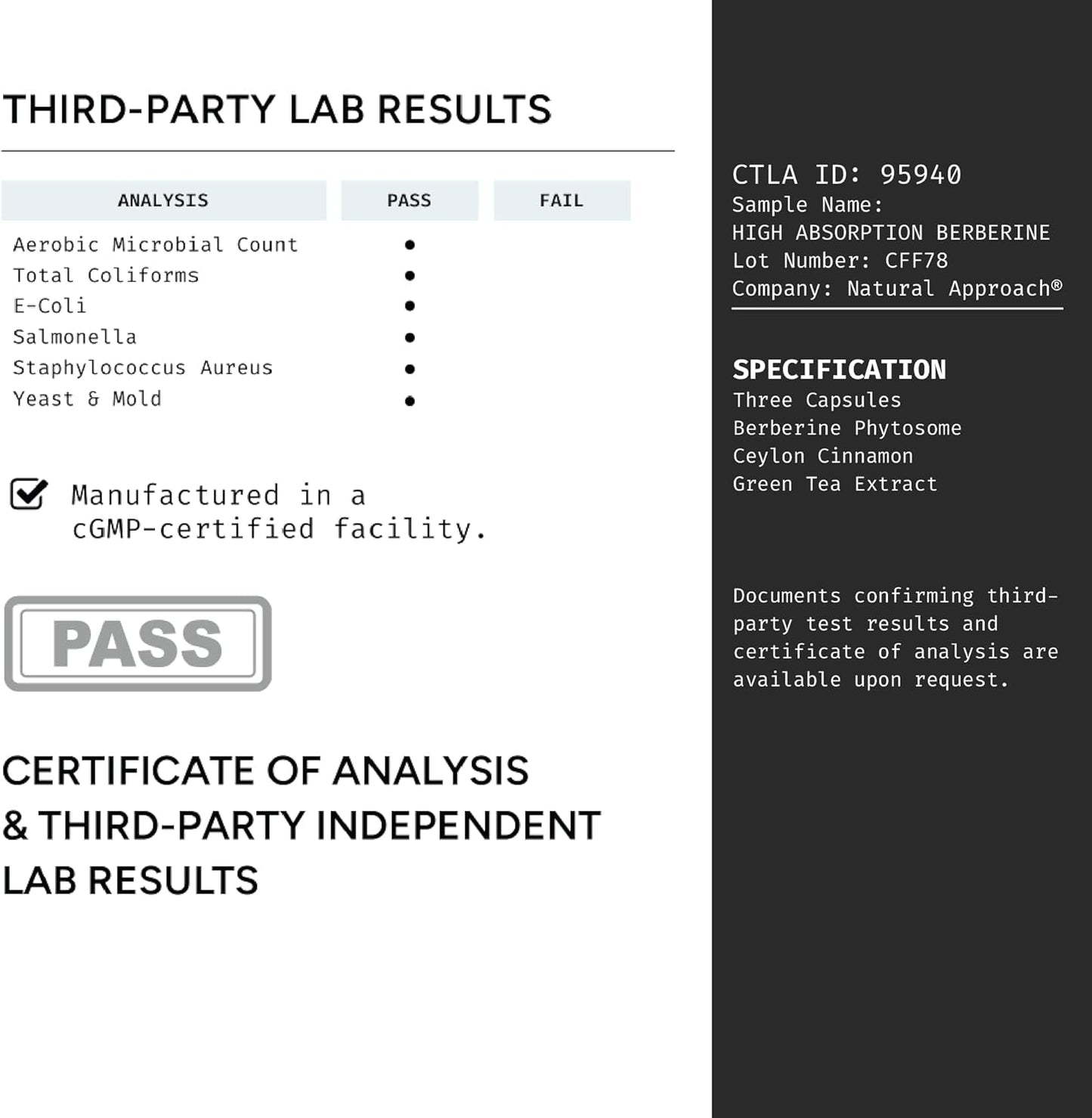 High Absorption Berberine Phytosome with Ceylon Cinnamon and Green Tea Extract - Metabolic Support for Women and Men - Berberis Aristata Supplement - 90 Capsules