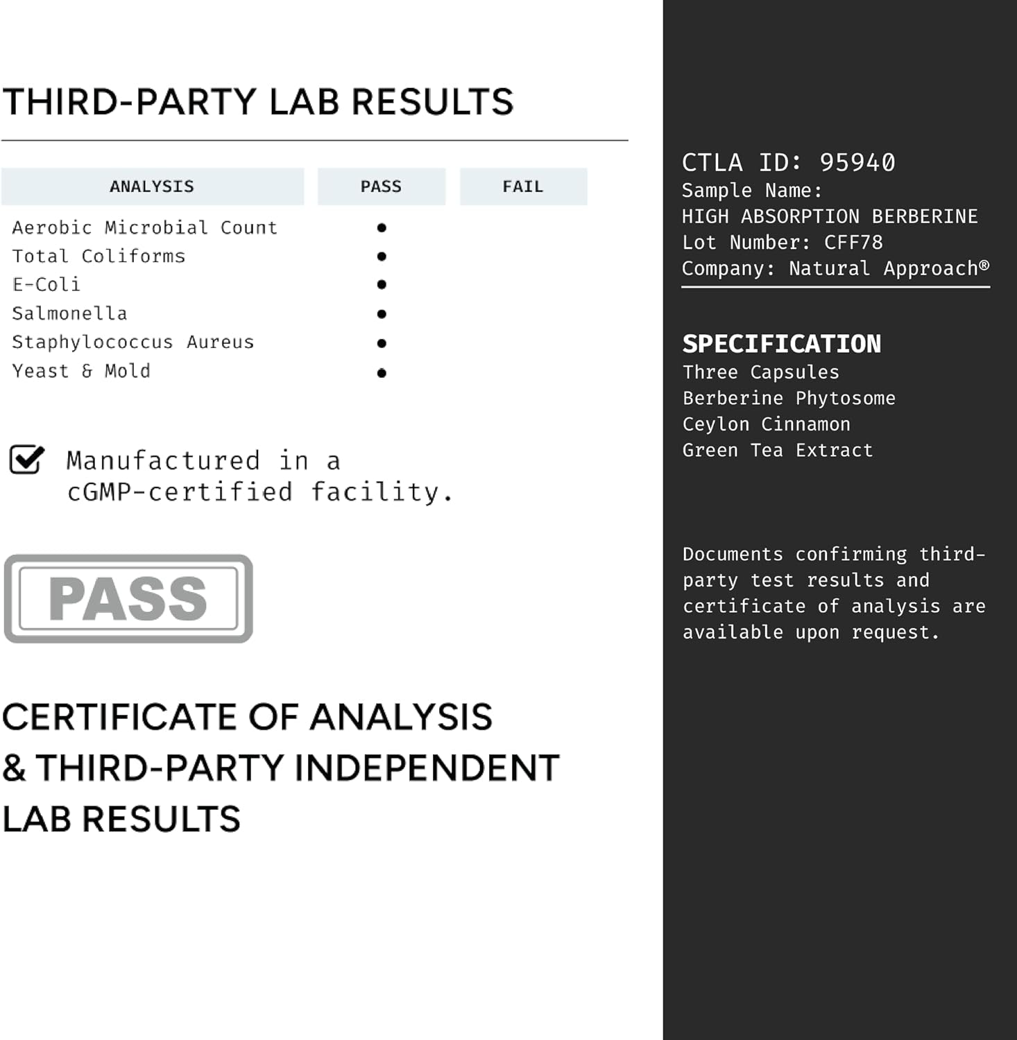 High Absorption Berberine Phytosome with Ceylon Cinnamon and Green Tea Extract - Metabolic Support for Women and Men - Berberis Aristata Supplement - 90 Capsules