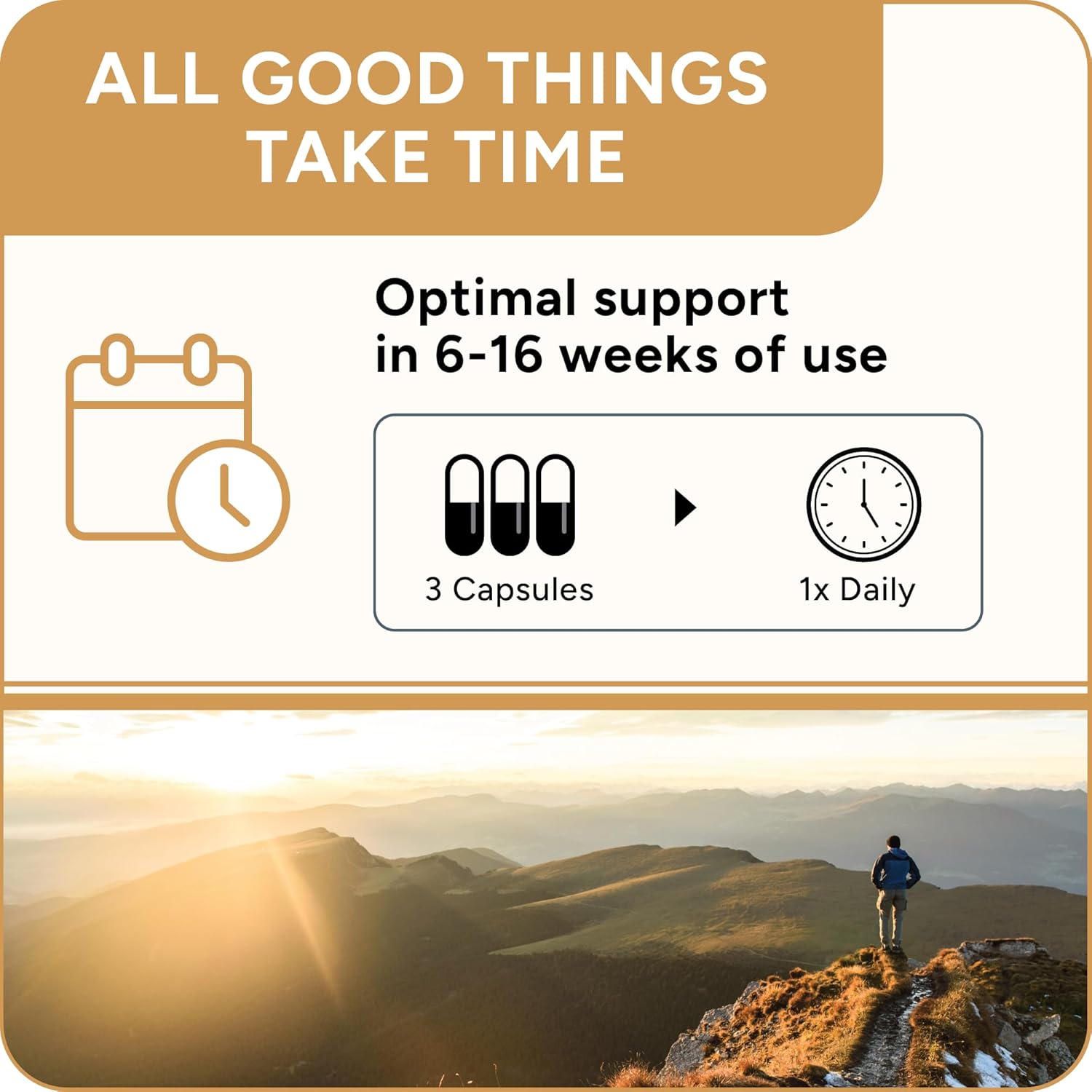 High Absorption Berberine Phytosome with Ceylon Cinnamon and Green Tea Extract - Metabolic Support for Women and Men - Berberis Aristata Supplement - 90 Capsules