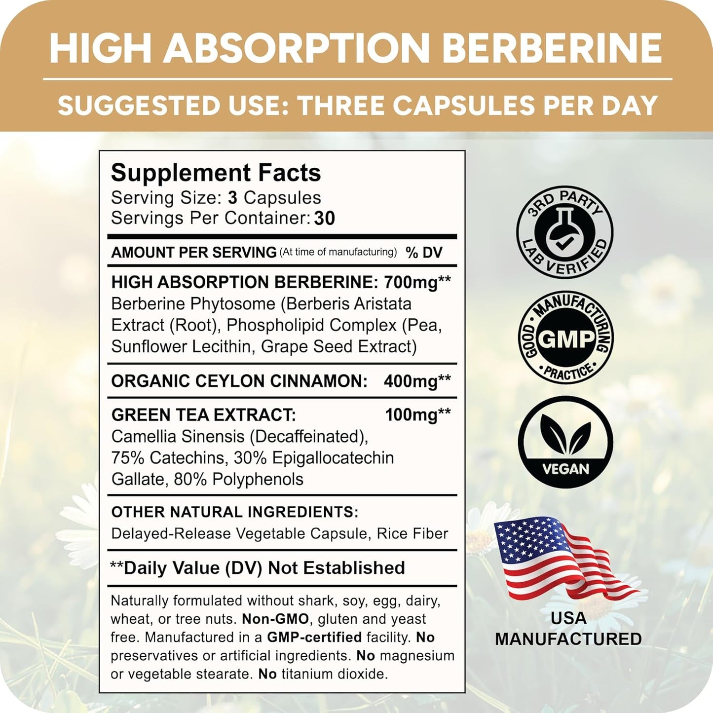 High Absorption Berberine Phytosome with Ceylon Cinnamon and Green Tea Extract - Metabolic Support for Women and Men - Berberis Aristata Supplement - 90 Capsules