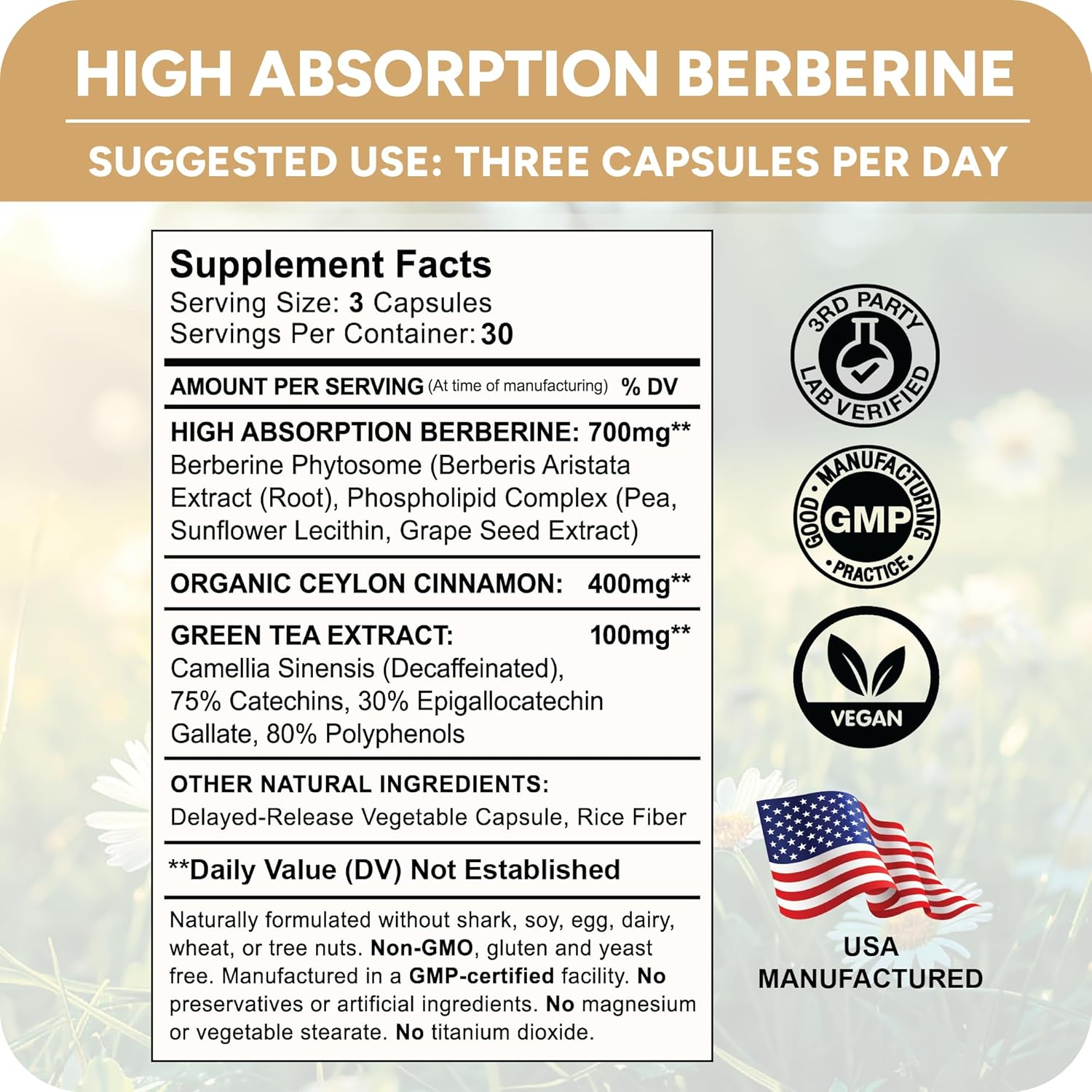 High Absorption Berberine Phytosome with Ceylon Cinnamon and Green Tea Extract - Metabolic Support for Women and Men - Berberis Aristata Supplement - 90 Capsules