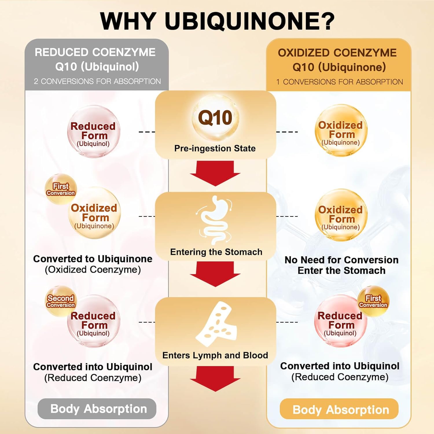 High Absorption CoQ10 200mg Supplement for Heart Health & Energy, Softgels with Vitamin E, PQQ, and Black Pepper Extract - 120 Servings by DRFOSTER