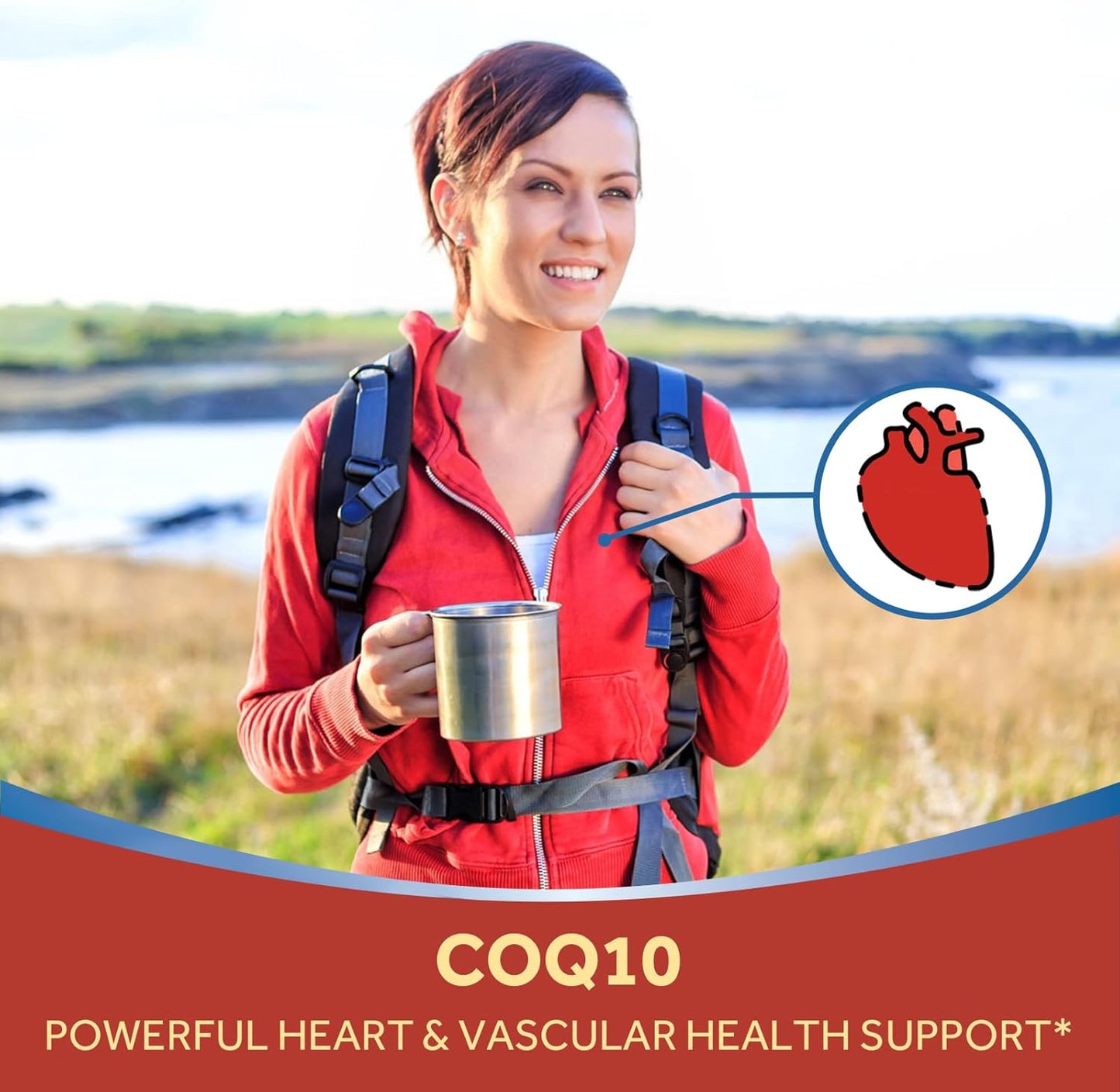 High Absorption CoQ10 Supplement with Olive Oil for Heart Health - 240 Softgels