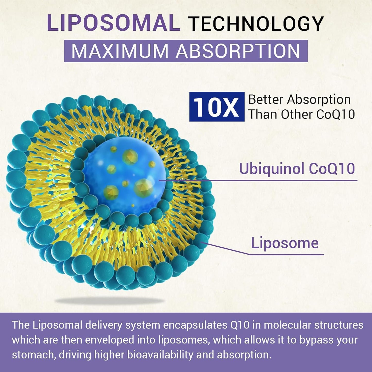 High Absorption Liposomal Ubiquinol CoQ10 800 MG Softgel Supplement, Vegan, Heart & Brain Support, Energy Production, 480 Softgels