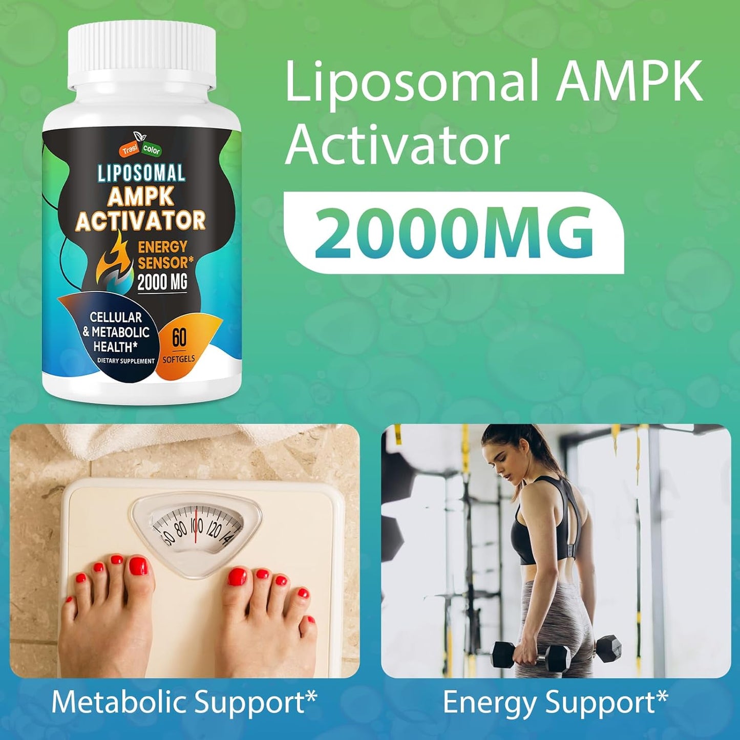 High Absorption Trasicolor AMPK Activator Supplement 2000mg with Liposomal Technology - Berberine, DIM, Resveratrol, Quercetin, Milk Thistle, Cinnamon - 60 Softgels for Energy & Cellular Support