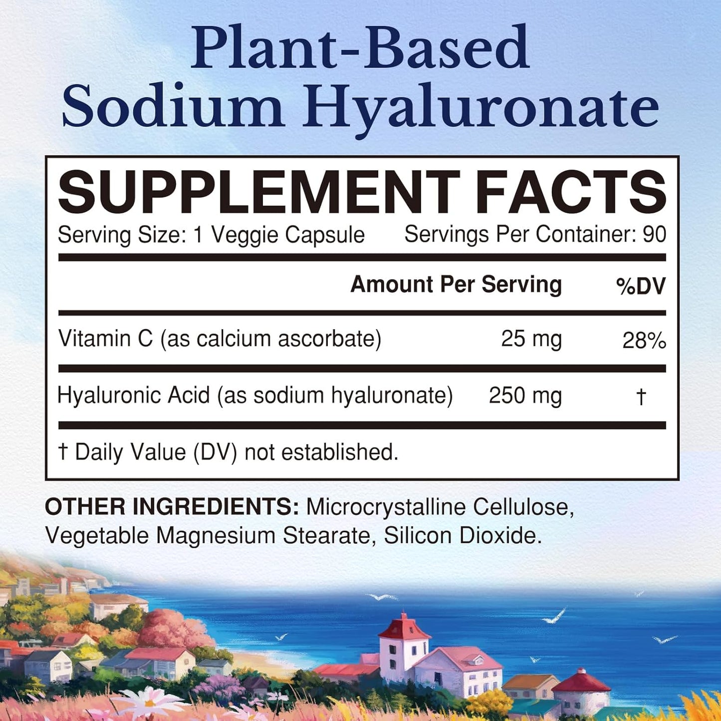 High Bioavailability Hyaluronic Acid with Vitamin C Supplements for Skin and Joint Health, 90 Capsules