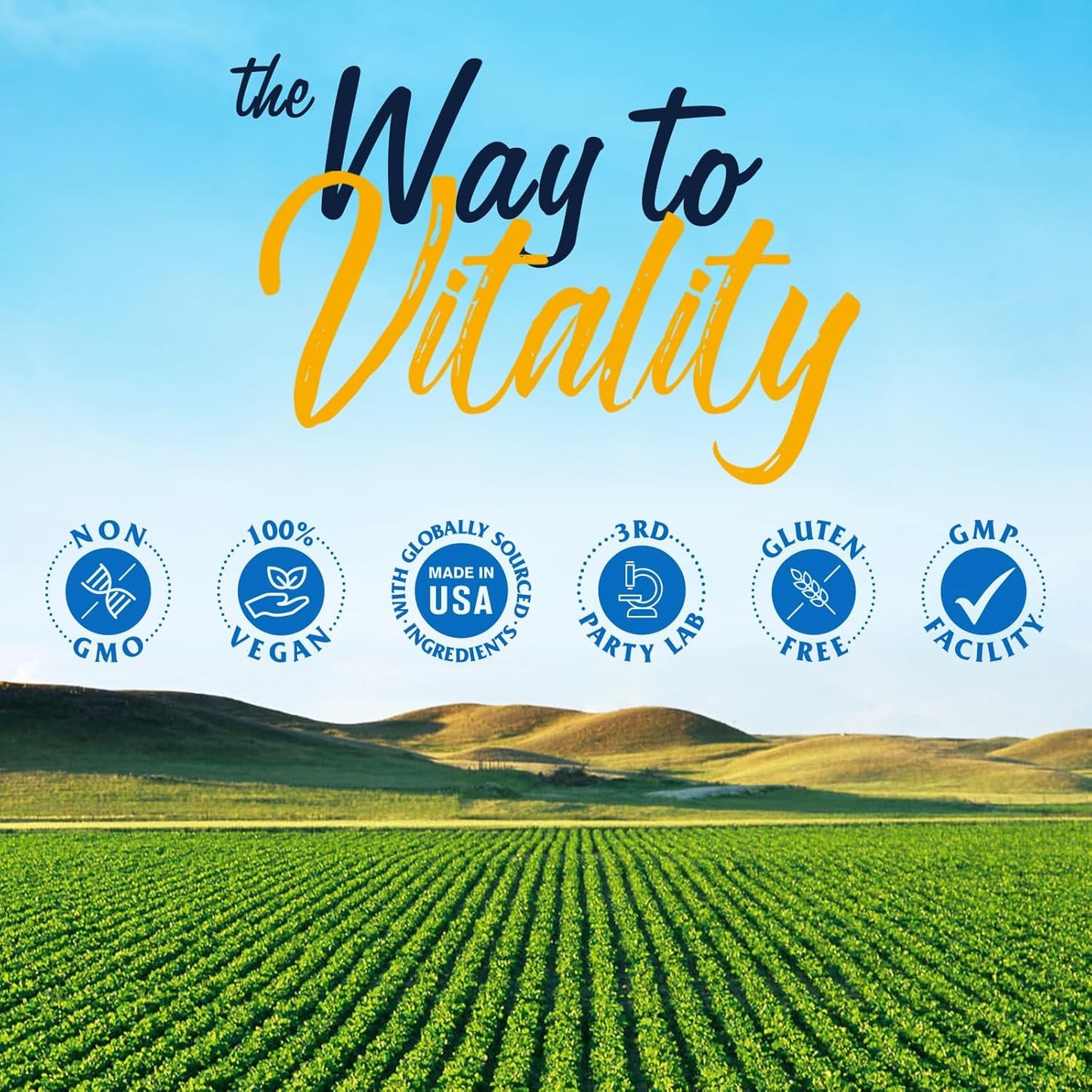 High Bioavailability Hyaluronic Acid with Vitamin C Supplements for Skin and Joint Health, 90 Capsules