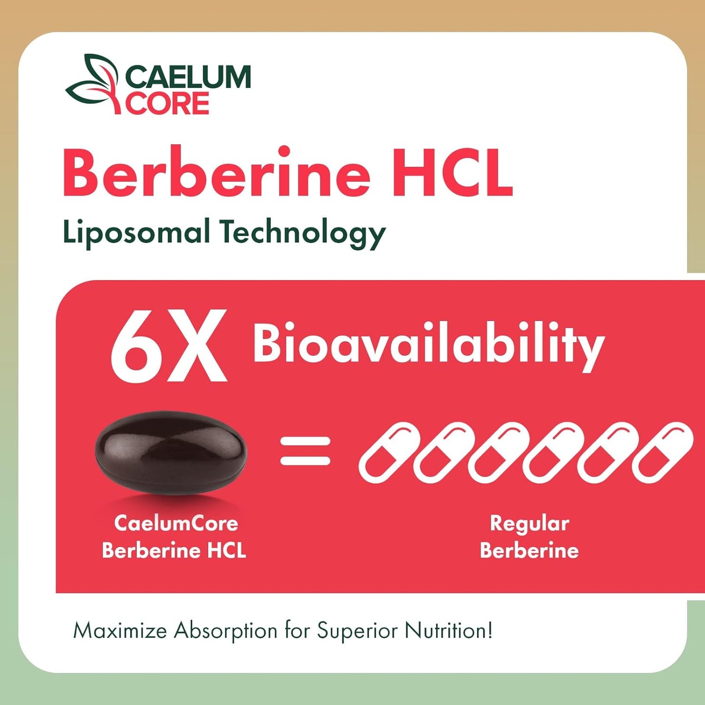 High Bioavailability Liposomal Berberine HCL Supplement - 1500mg Activates AMPK & GLP-1, Berberine for Overall Health Support - Women and Men, 1 Pack