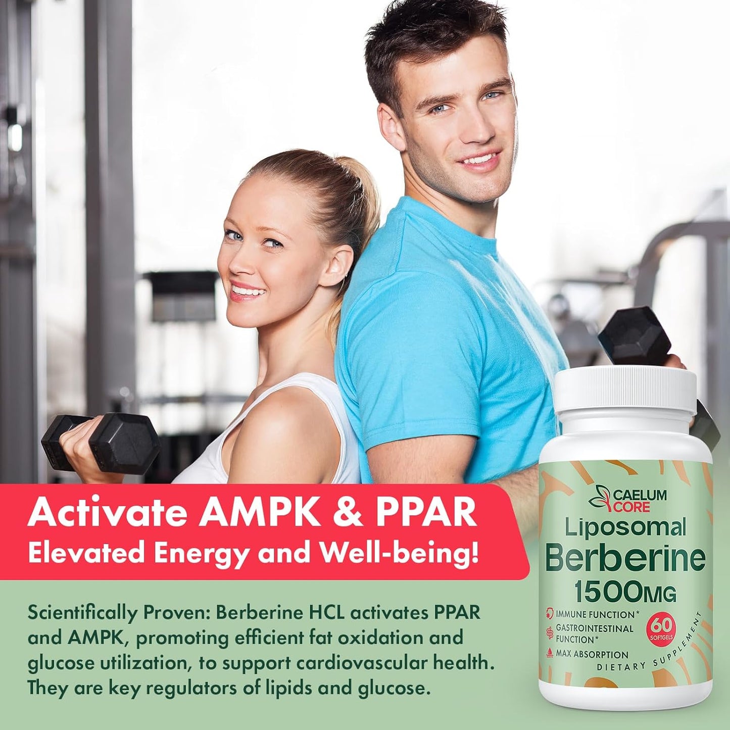 High Bioavailability Liposomal Berberine HCL Supplement - 1500mg Activates AMPK & GLP-1, Berberine for Overall Health Support - Women and Men, 1 Pack
