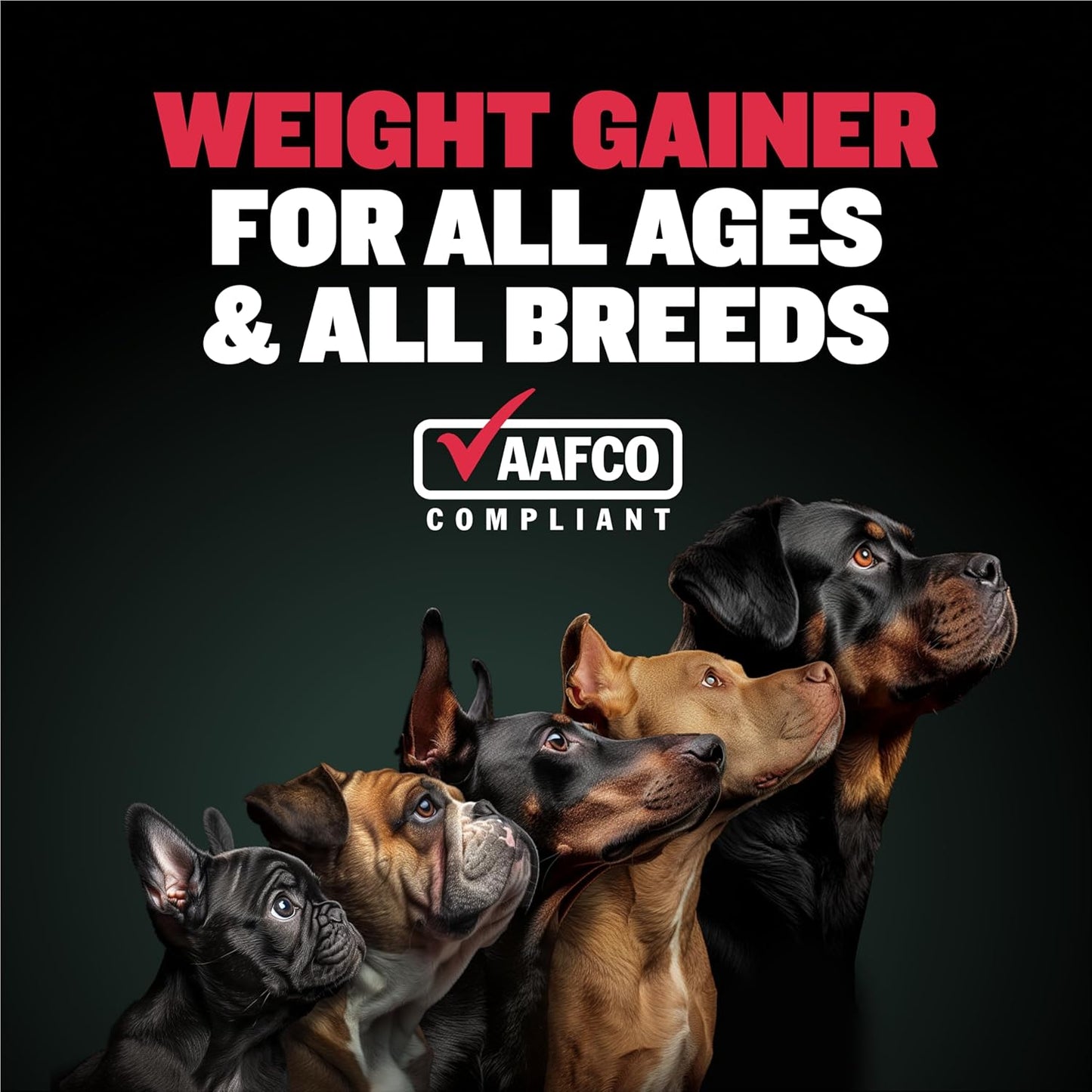 High Calorie Bully Max Weight Gainer Liquid with Omega 3 & Whey Protein for Dogs - 16 oz Bag - All Breeds & Ages