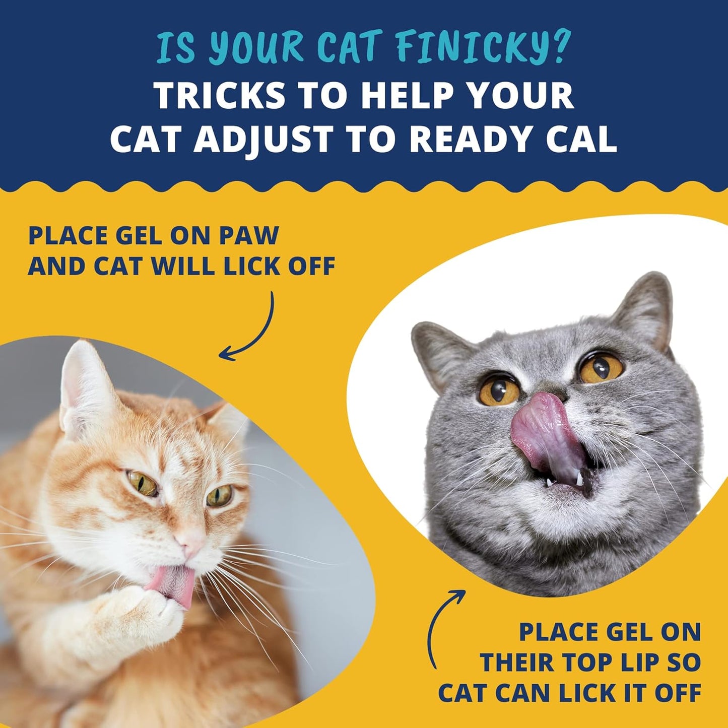 High Calorie Cat Supplement | Under The Weather Pet Ready Cal 100cc | Weight Gainer & Calorie Booster | 10 Vitamins, 7 Minerals, Omega Fatty Acids
