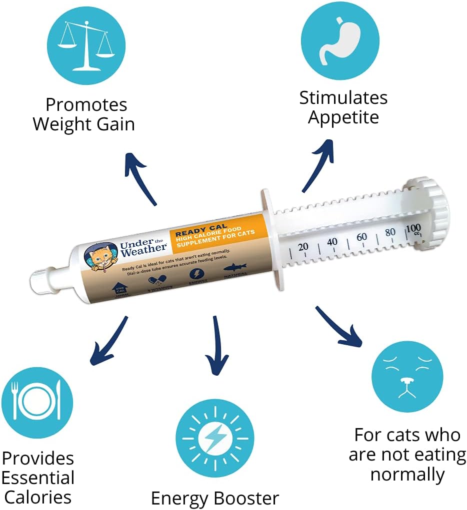 High Calorie Cat Supplement | Under The Weather Pet Ready Cal 100cc | Weight Gainer & Calorie Booster | 10 Vitamins, 7 Minerals, Omega Fatty Acids