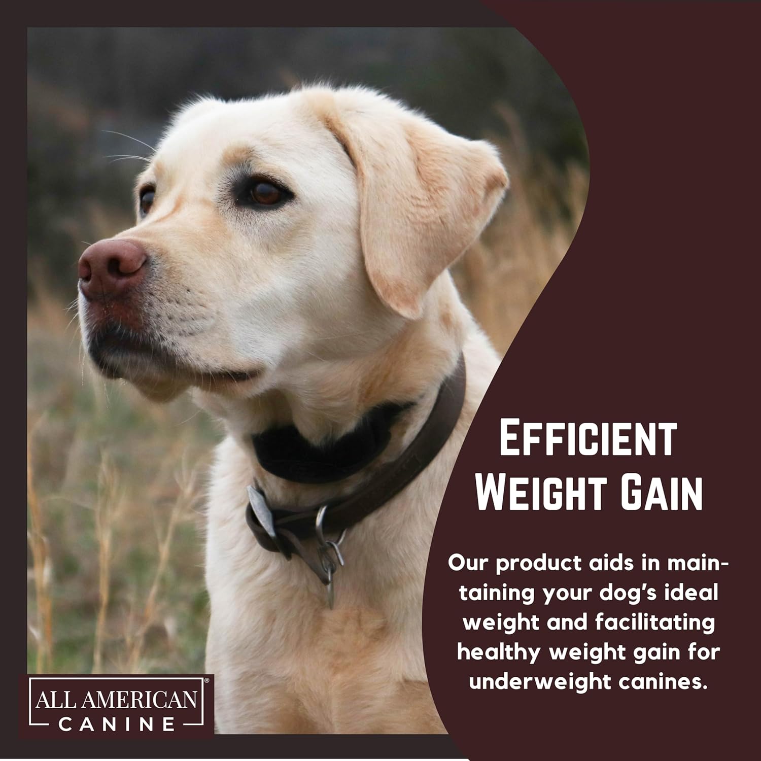 High Calorie Dog Food Supplement for Rapid Weight Gain & Recovery - All American Canine Dog Weight Gainer - Protein Powder with Appetite Stimulant - 60 Servings