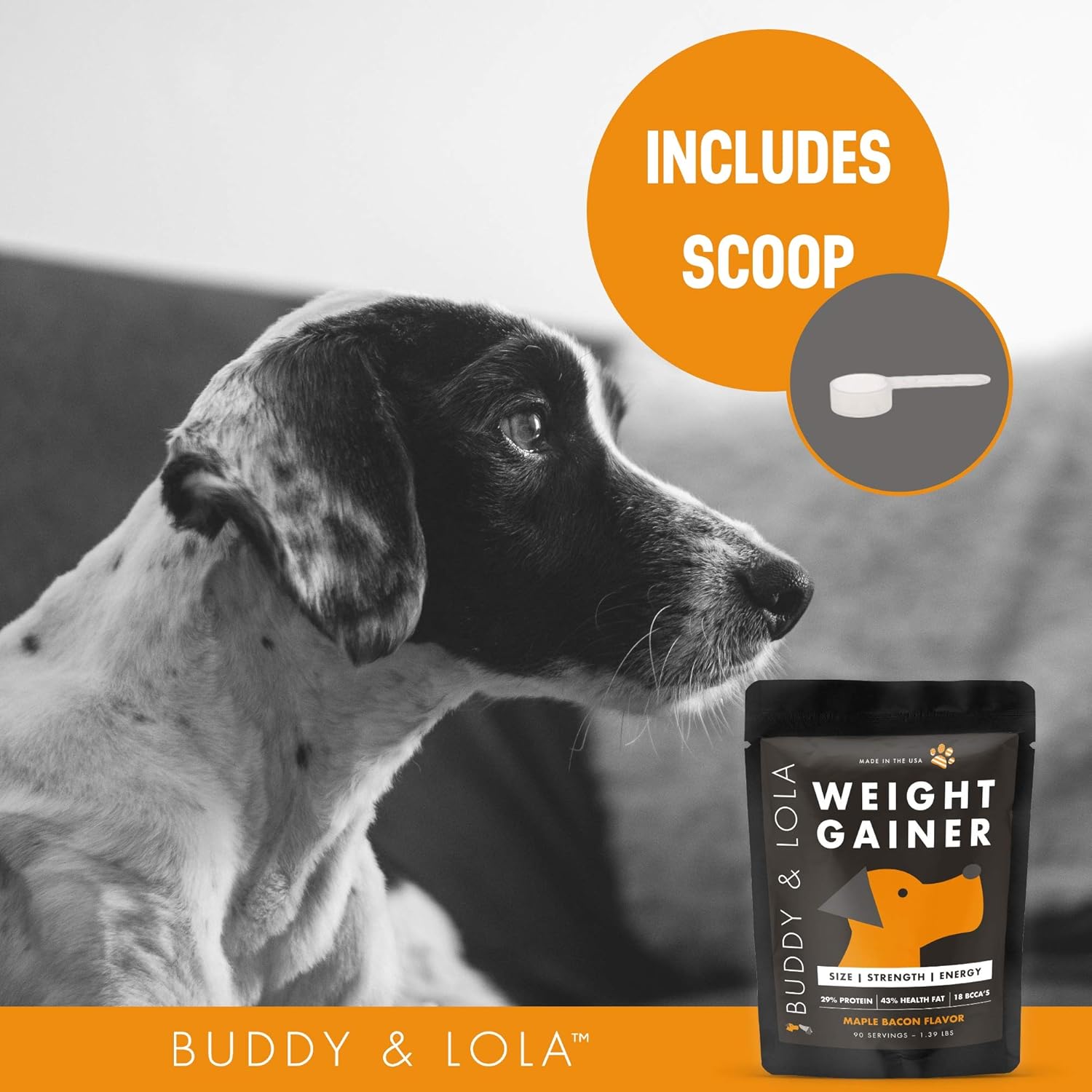 High-Calorie Dog Weight Gainer Supplement by Buddy & Lola - Protein Powder for Muscle Building - Suitable for All Dog Breeds, Including Bully Breeds - Made in the USA