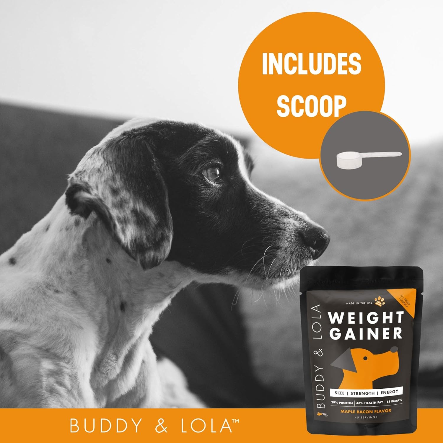 High-Calorie Dog Weight Gainer Supplement by Buddy & Lola - Protein Powder for Muscle Building - Suitable for All Dog Breeds, Including Bully Breeds - Made in the USA