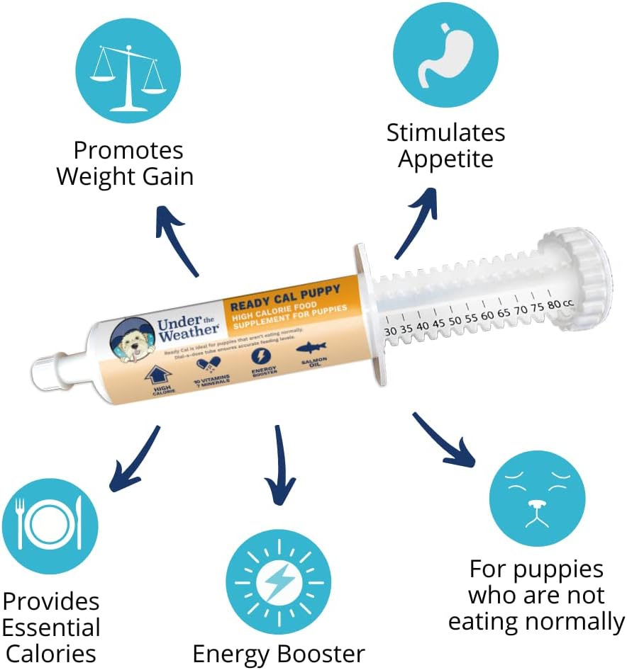 High Calorie Puppy Nutritional Supplement - Under the Weather Pet Ready Cal for Puppies 100cc - Weight Gainer with Vitamins, Minerals, and Omega Fatty Acids