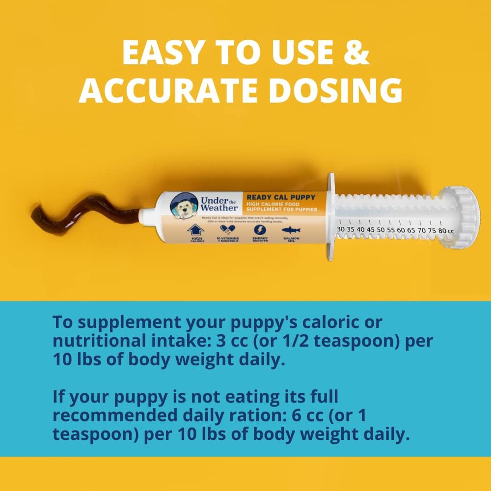 High Calorie Puppy Nutritional Supplement - Under the Weather Pet Ready Cal for Puppies 100cc - Weight Gainer with Vitamins, Minerals, and Omega Fatty Acids