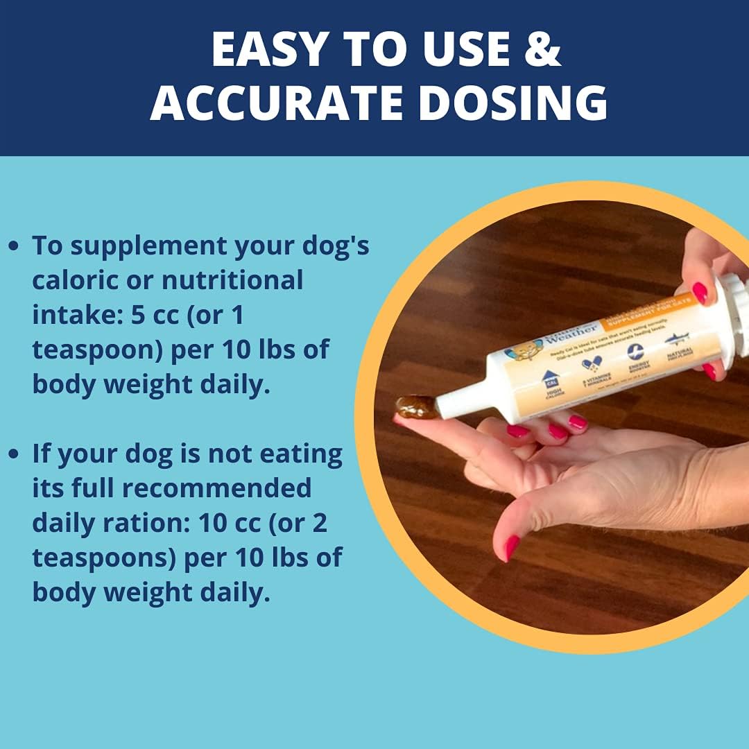 High Calorie Supplement for Dogs | Under the Weather Pet Ready Cal 100cc | Weight Gainer with Vitamins, Minerals & Omega Fatty Acids