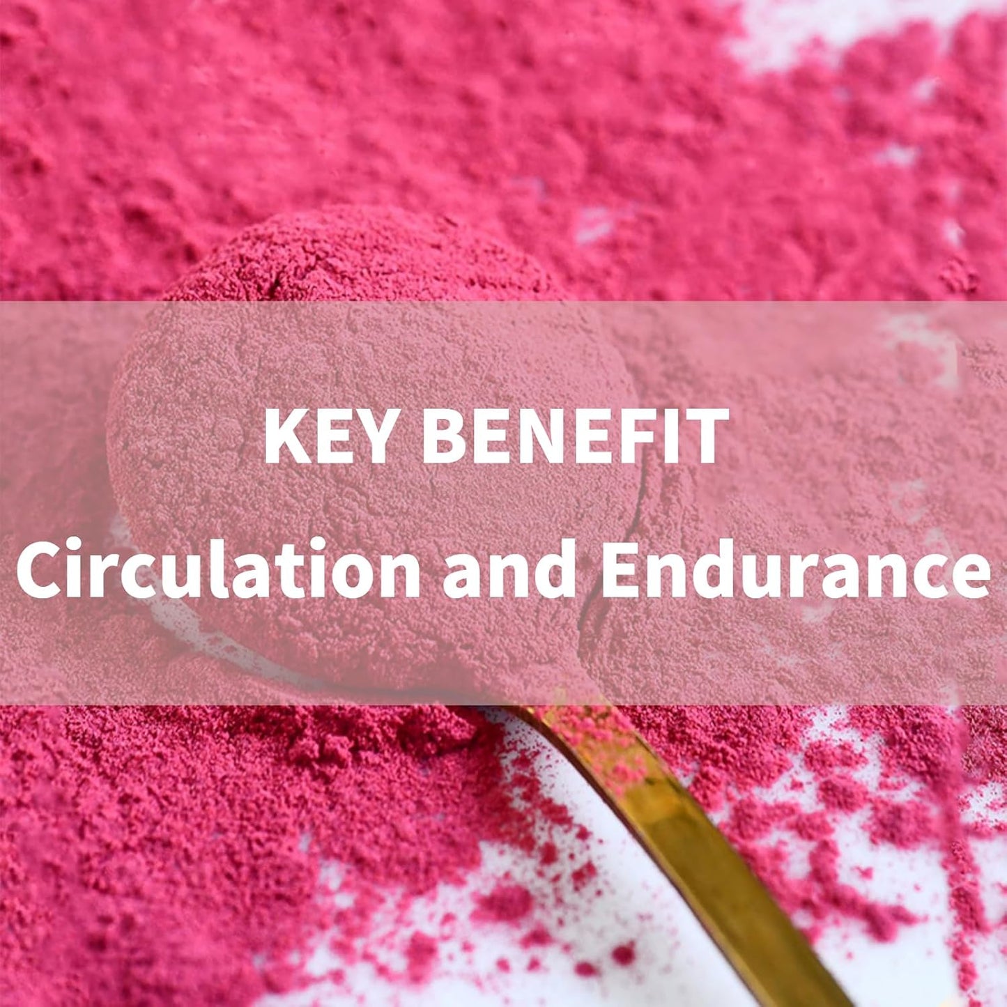 High Concentrated Organic Beet Juice Powder with Reishi Mushroom - 7000mg Superfood Supplement for Circulation and Endurance