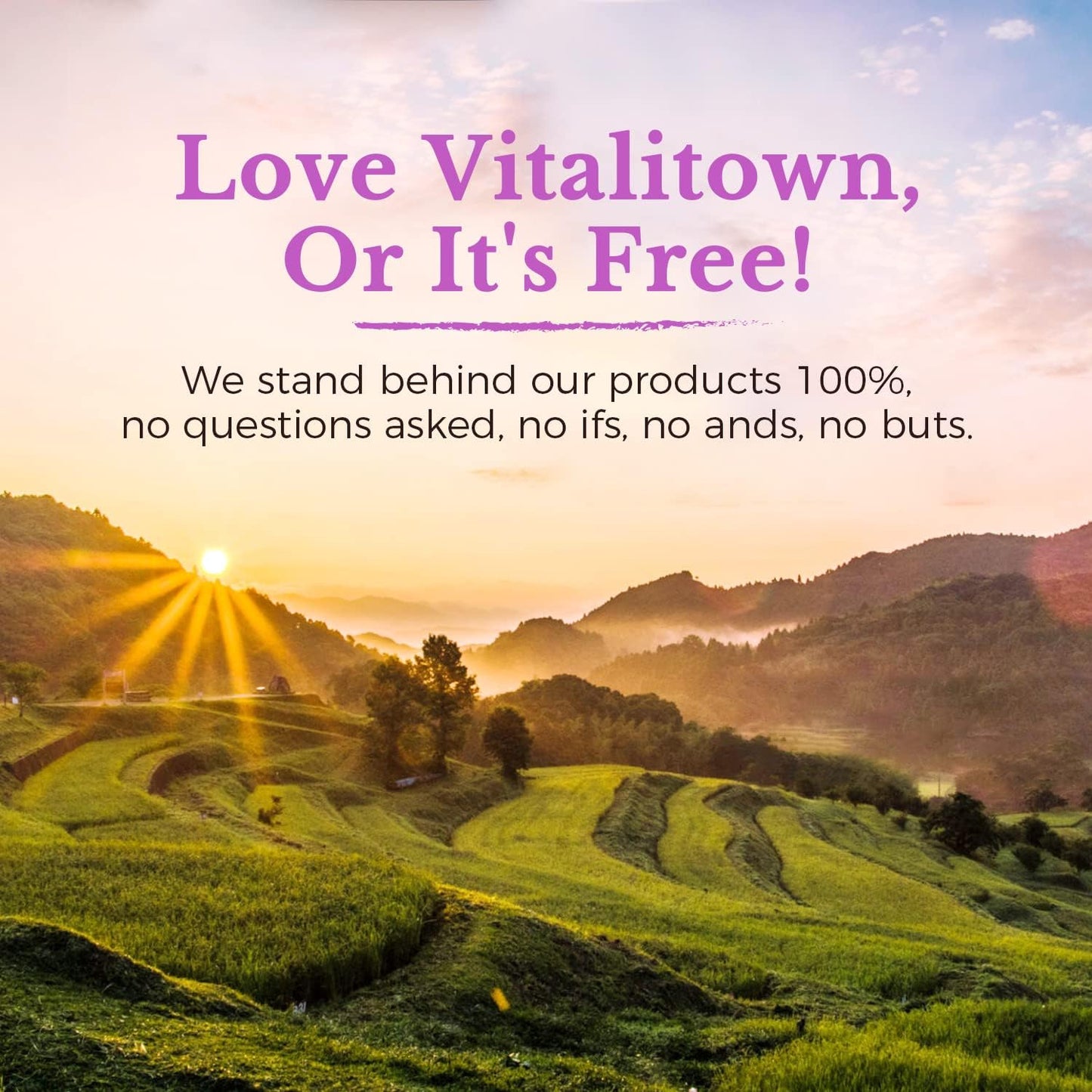 High Concentration Organic Milk Thistle Seed Extract 600mg - Liver Support & Detox - 120 Vegan Capsules - Equivalent to 18,000mg Silymarin - Vitalitown