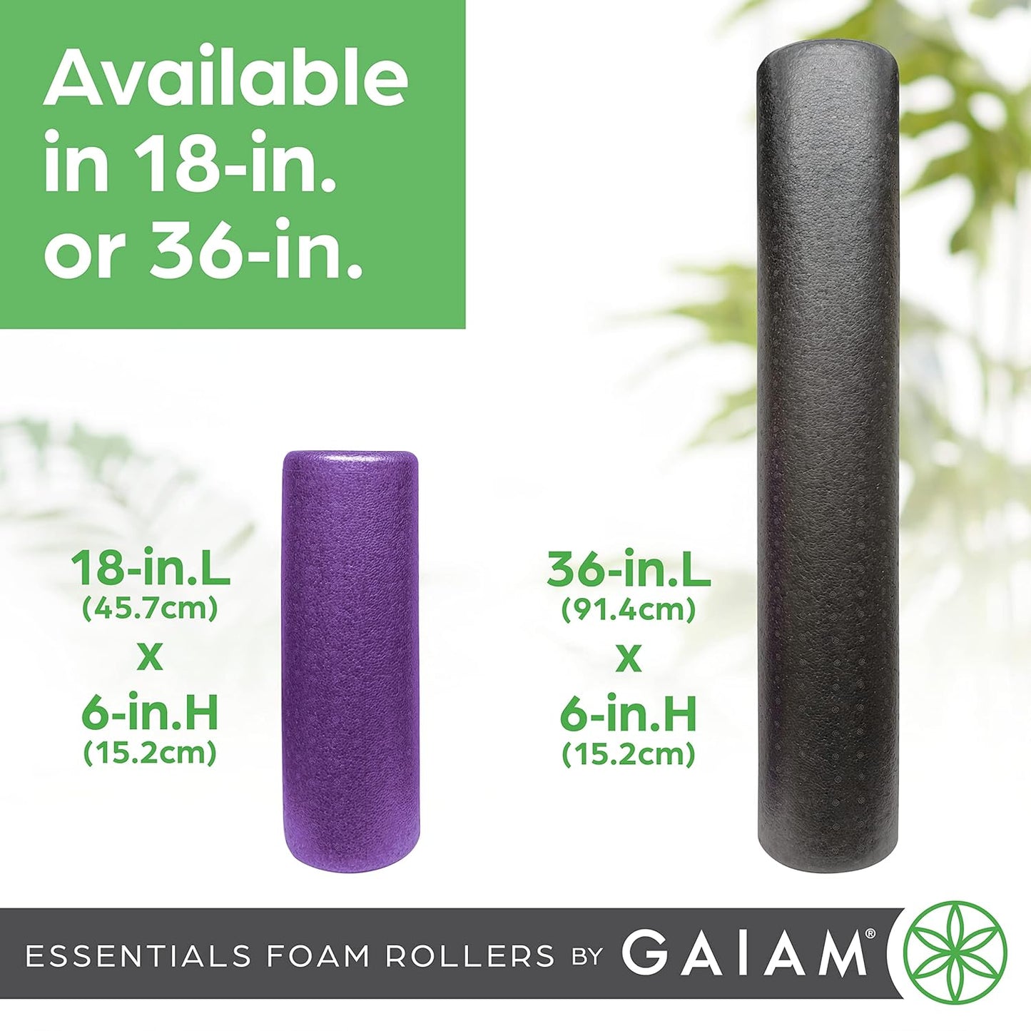 High Density Firm Foam Roller for Back Pain & Muscle Relief - Gaiam Essentials