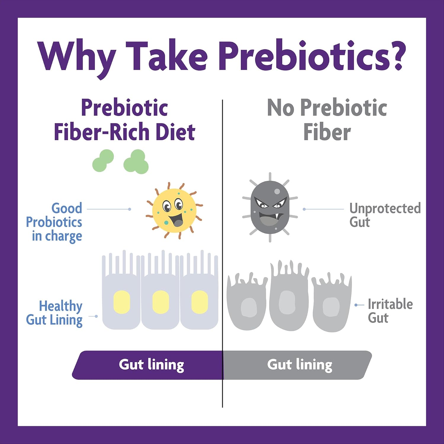 High Fiber Prebiotic Powder for Gut Health, Men & Women, Chicory Root, FOS, Acacia, Inulin, Soluble & Insoluble Fiber, Sugar-Free, 30-Day Supply