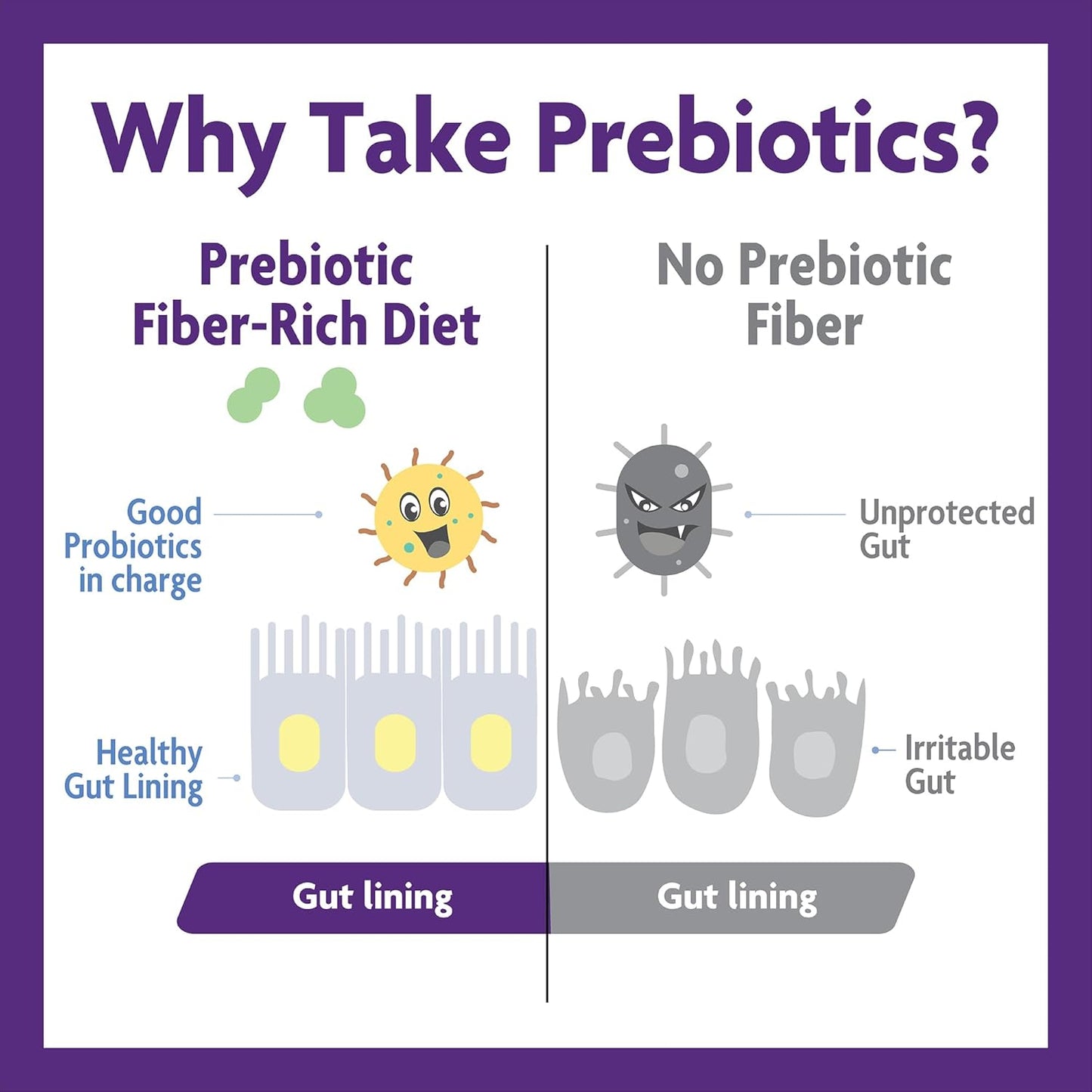 High Fiber Prebiotic Powder for Gut Health, Men & Women, Chicory Root, FOS, Acacia, Inulin, Soluble & Insoluble Fiber, Sugar-Free, 30-Day Supply