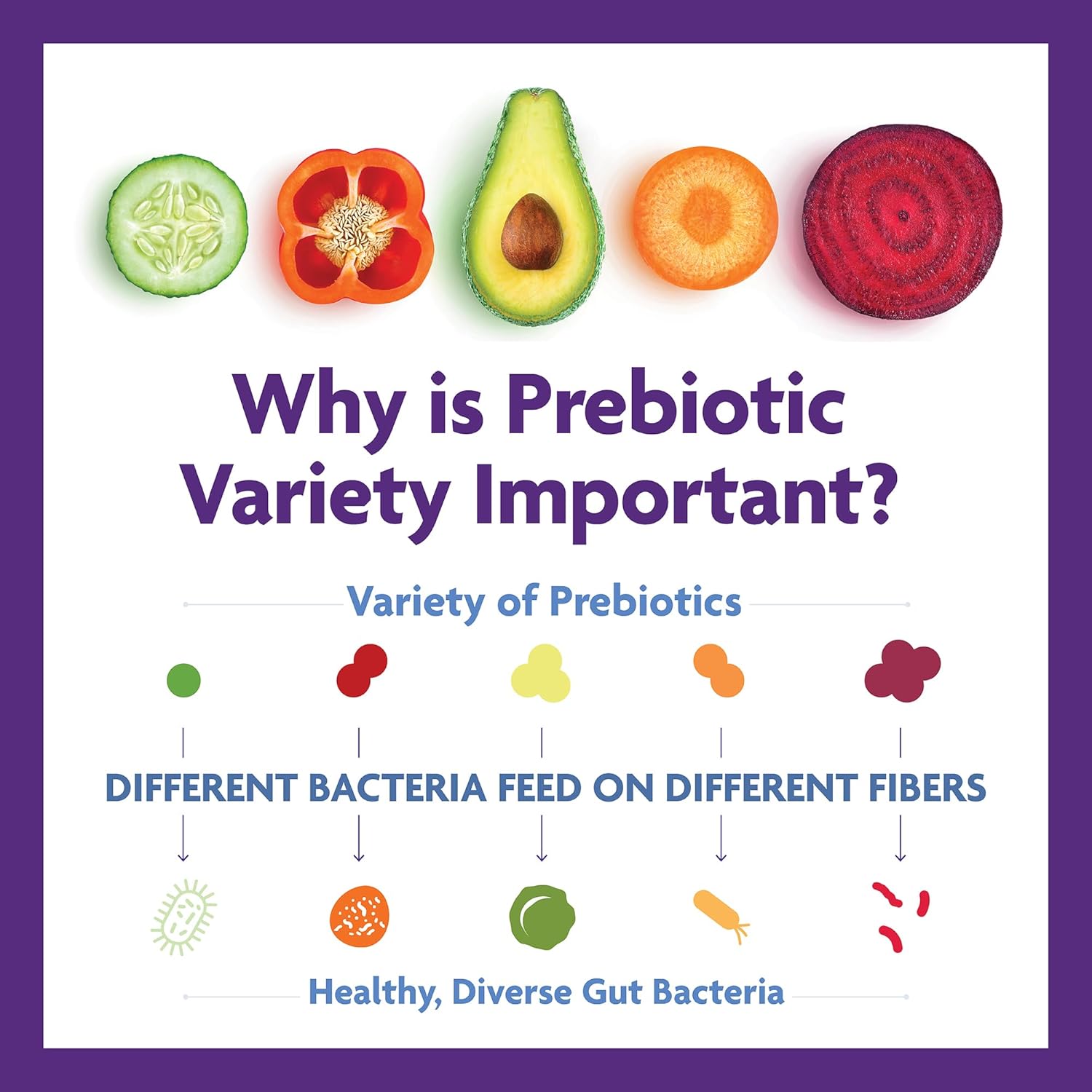 High Fiber Prebiotic Powder for Gut Health, Men & Women, Chicory Root, FOS, Acacia, Inulin, Soluble & Insoluble Fiber, Sugar-Free, 30-Day Supply