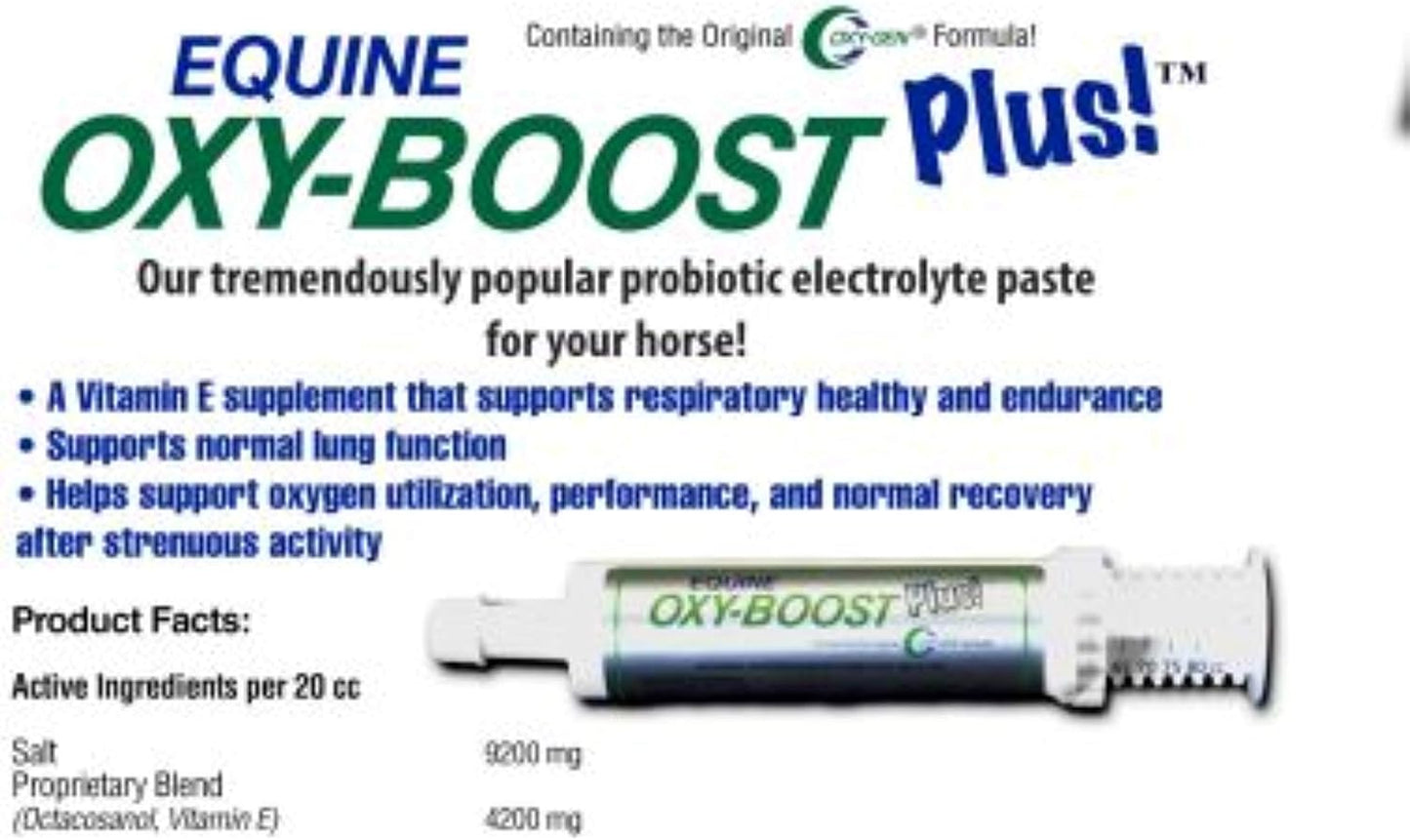 High Performance Horse Probiotic Electrolyte Paste with Vitamin E, Omega 3, Omega 6 | SUPTMAX Oxy-Gen Oxy-Boost 80cc Paste | Made in USA