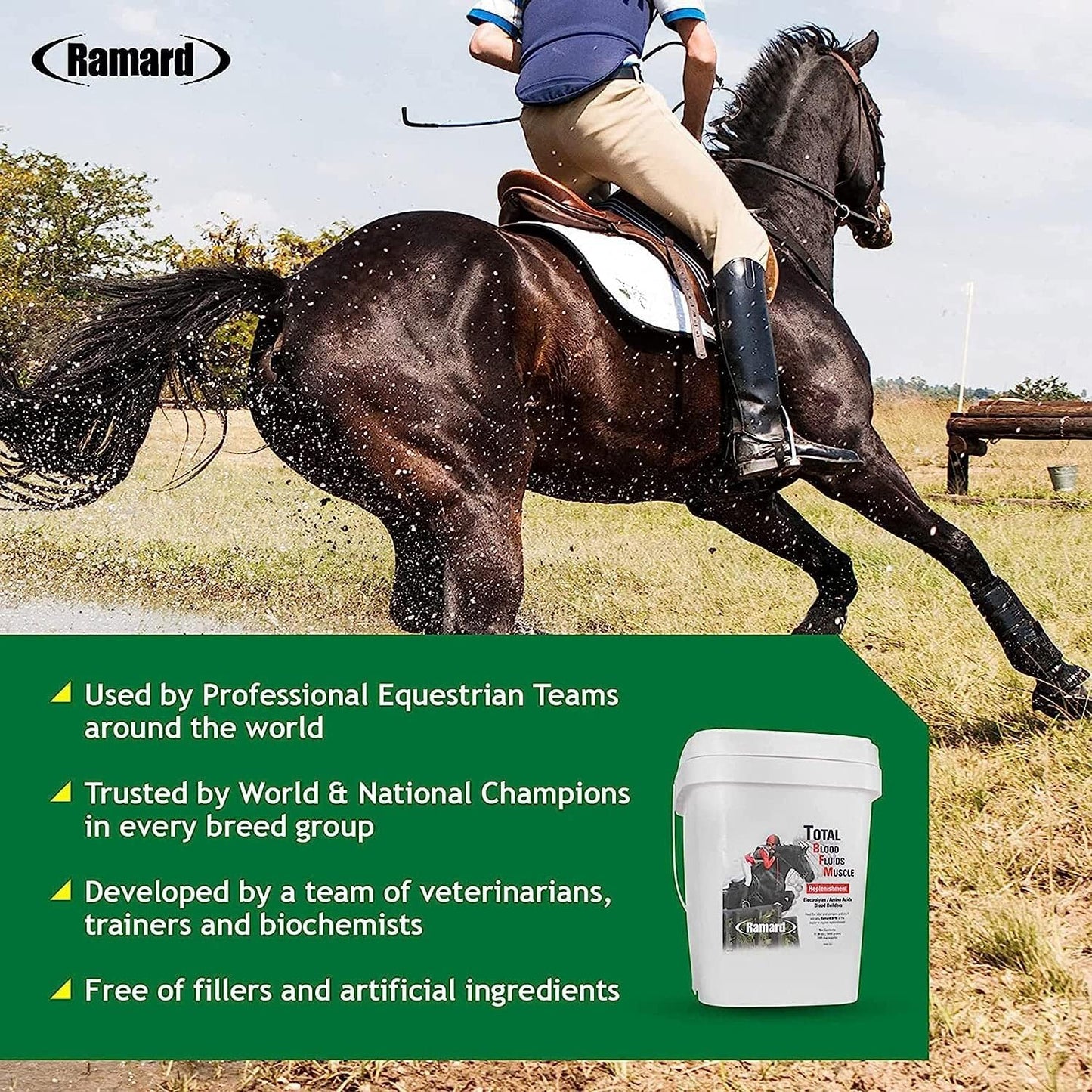 High Performance Horse Supplements: Electrolytes, Blood Builder & Muscle Builder - 11.9 lbs Tub