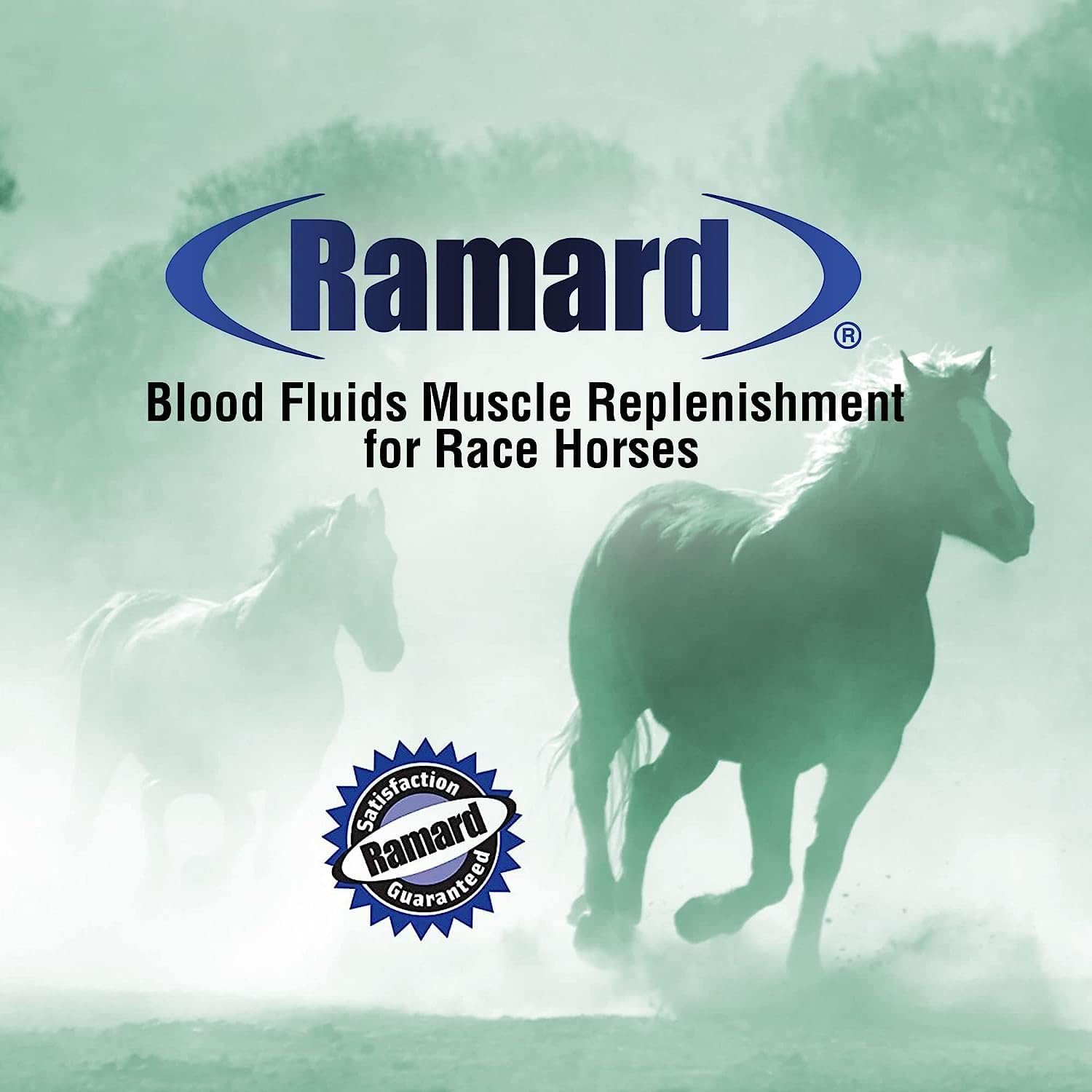 High Performance Horse Supplements: Electrolytes, Blood Builder & Muscle Builder - 11.9 lbs Tub