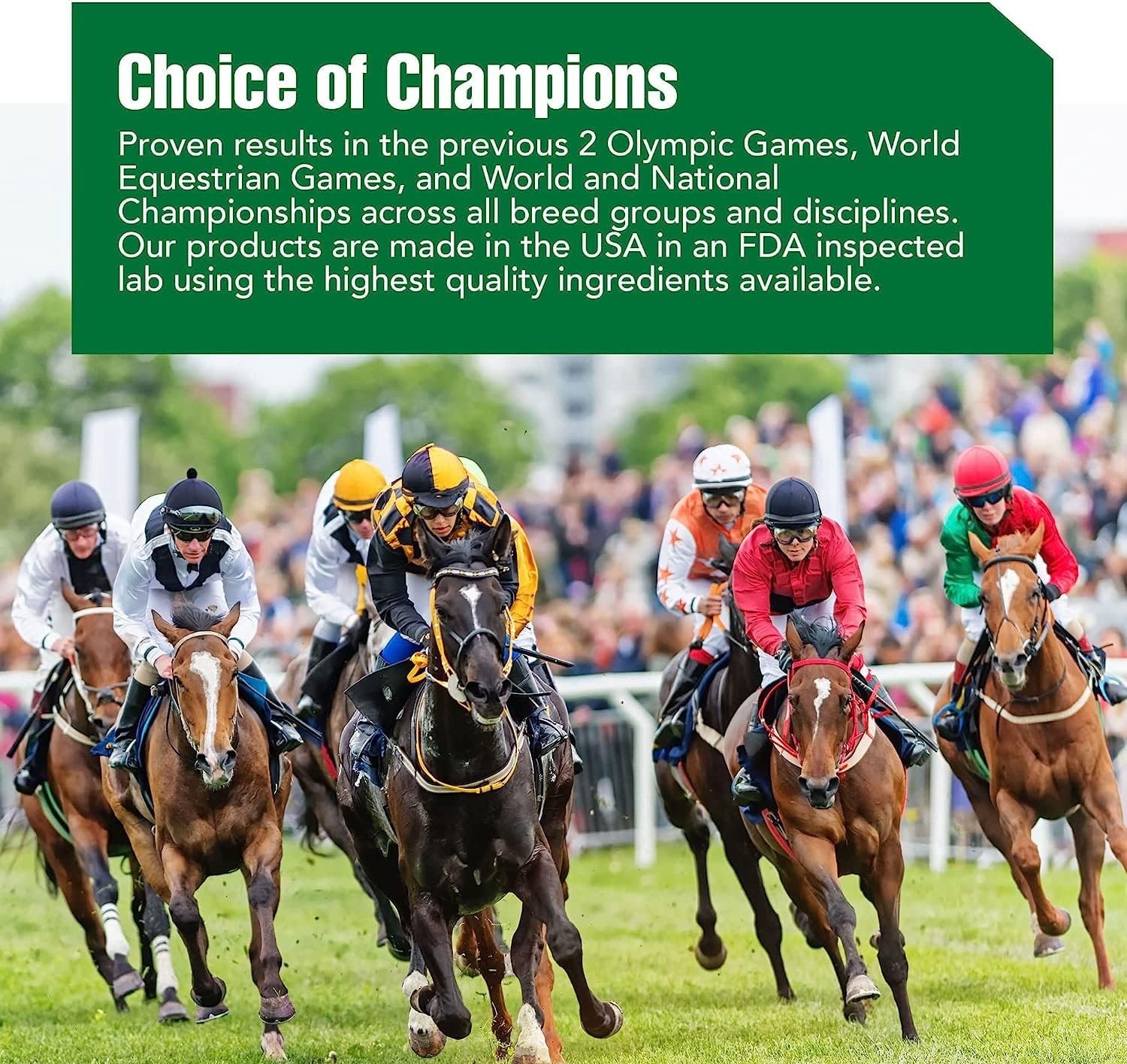 High Performance Horse Supplements: Electrolytes, Blood Builder & Muscle Builder - 11.9 lbs Tub