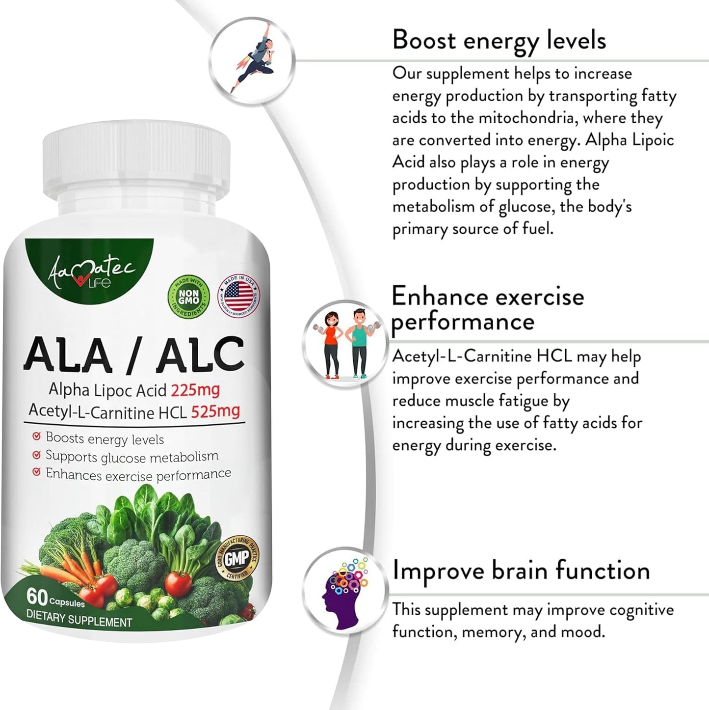 High Potency AAMATEC LIFE ALA/ALC Dietary Supplement - Best Alpha Lipoic Acid and Acetyl-L-Carnitine HCl for Antioxidant Support and Energy Boost - 60 Capsules for Men and Women