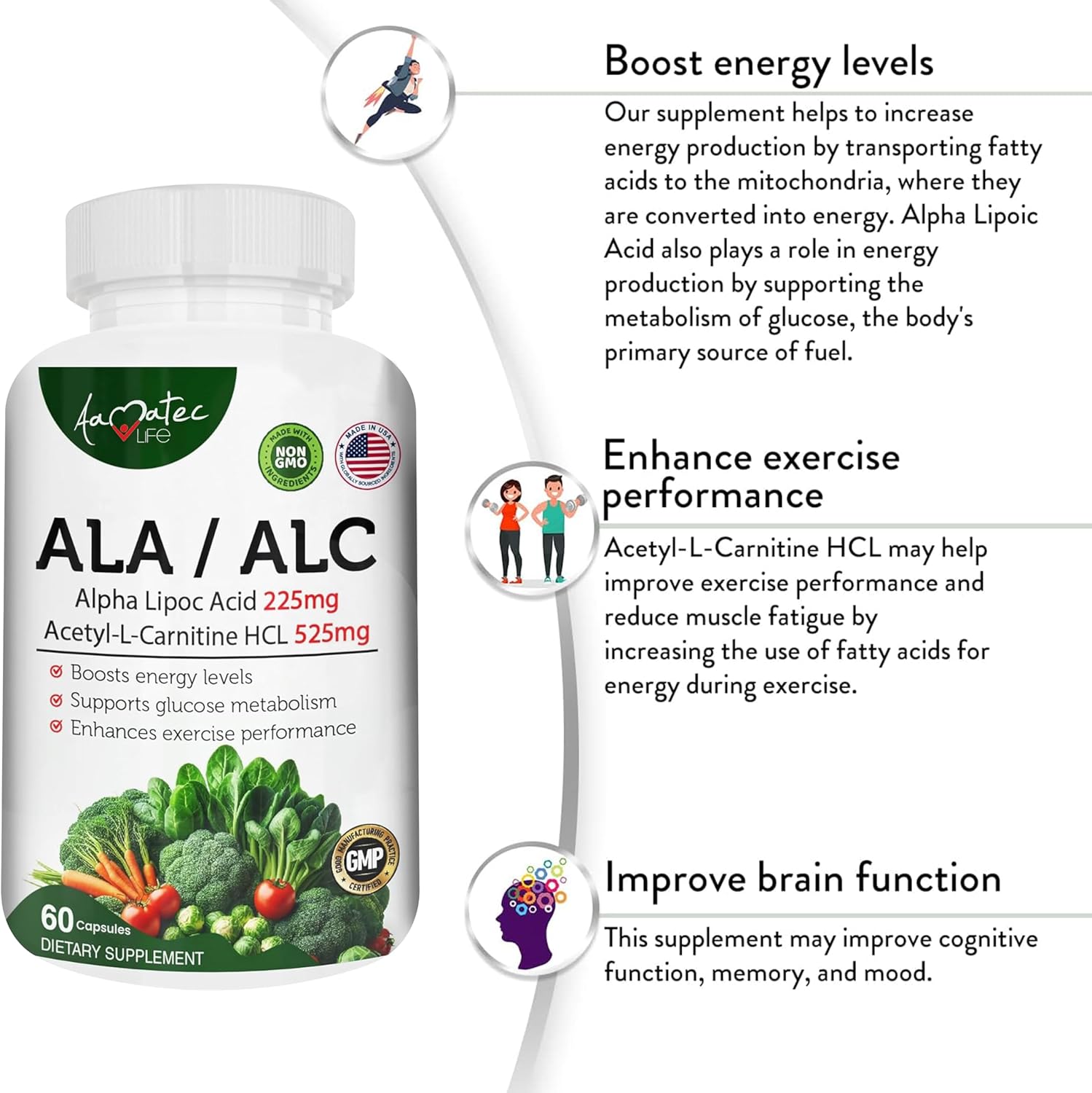 High Potency AAMATEC LIFE ALA/ALC Dietary Supplement - Best Alpha Lipoic Acid and Acetyl-L-Carnitine HCl for Antioxidant Support and Energy Boost - 60 Capsules for Men and Women