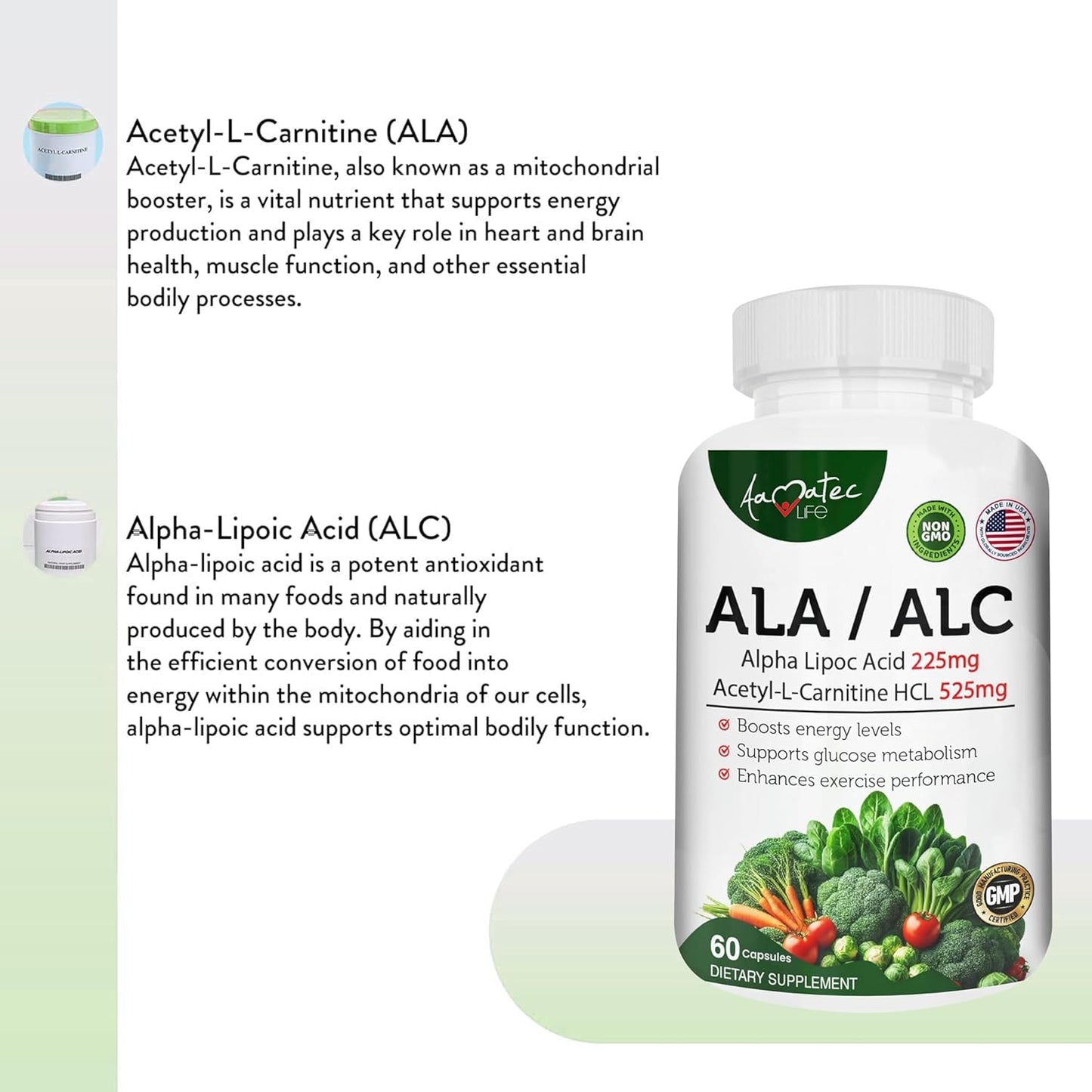 High Potency AAMATEC LIFE ALA/ALC Dietary Supplement - Best Alpha Lipoic Acid and Acetyl-L-Carnitine HCl for Antioxidant Support and Energy Boost - 60 Capsules for Men and Women