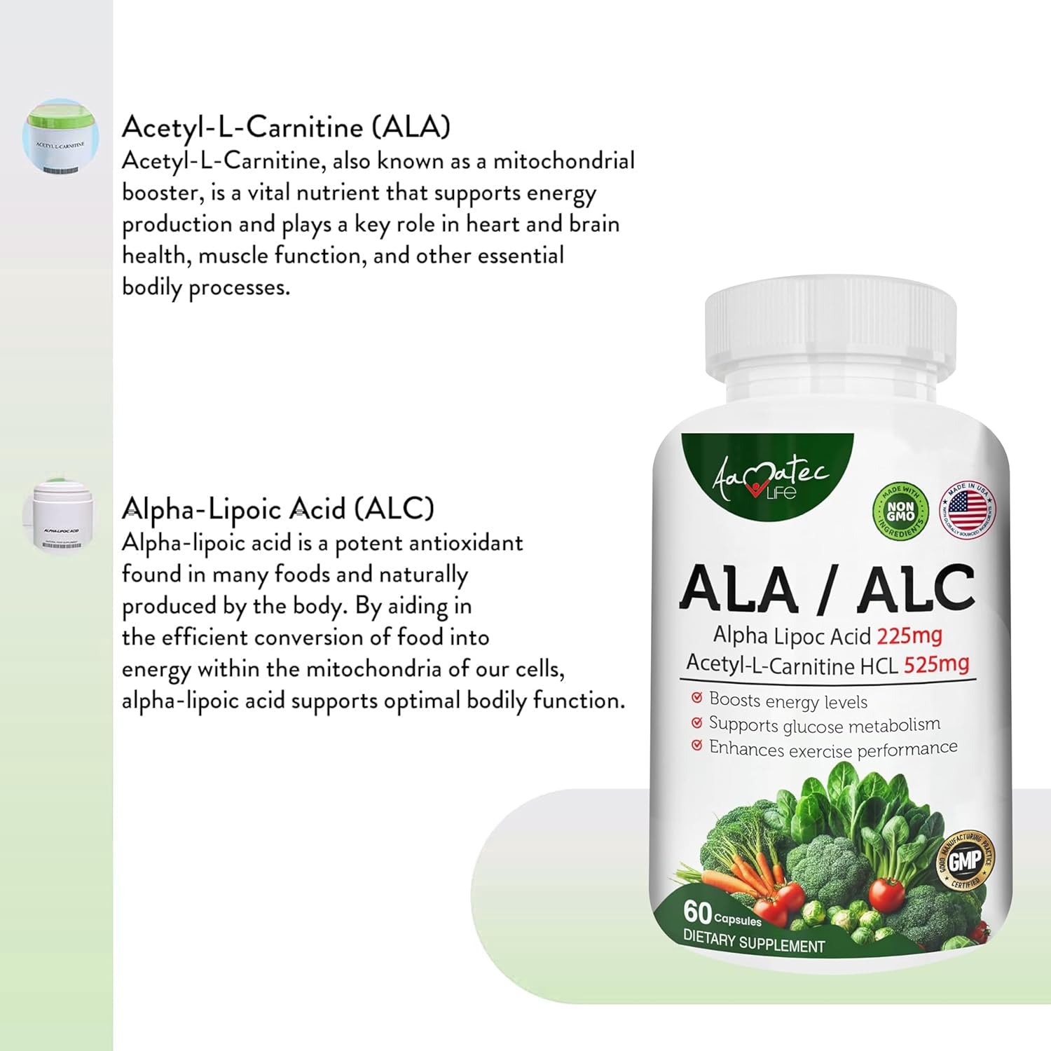 High Potency AAMATEC LIFE ALA/ALC Dietary Supplement - Best Alpha Lipoic Acid and Acetyl-L-Carnitine HCl for Antioxidant Support and Energy Boost - 60 Capsules for Men and Women