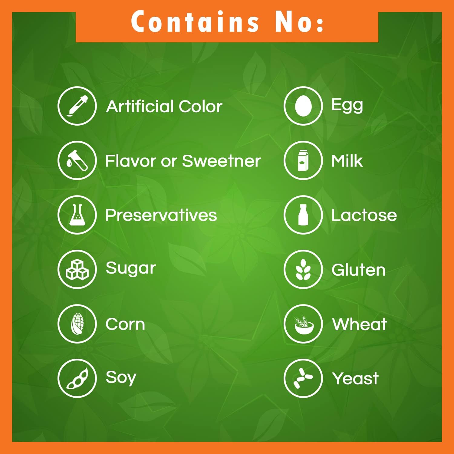 High Potency Alpha Lipoic Acid & Acetyl L-Carnitine Supplement - 600mg & 1000mg Capsules for Enhanced Health