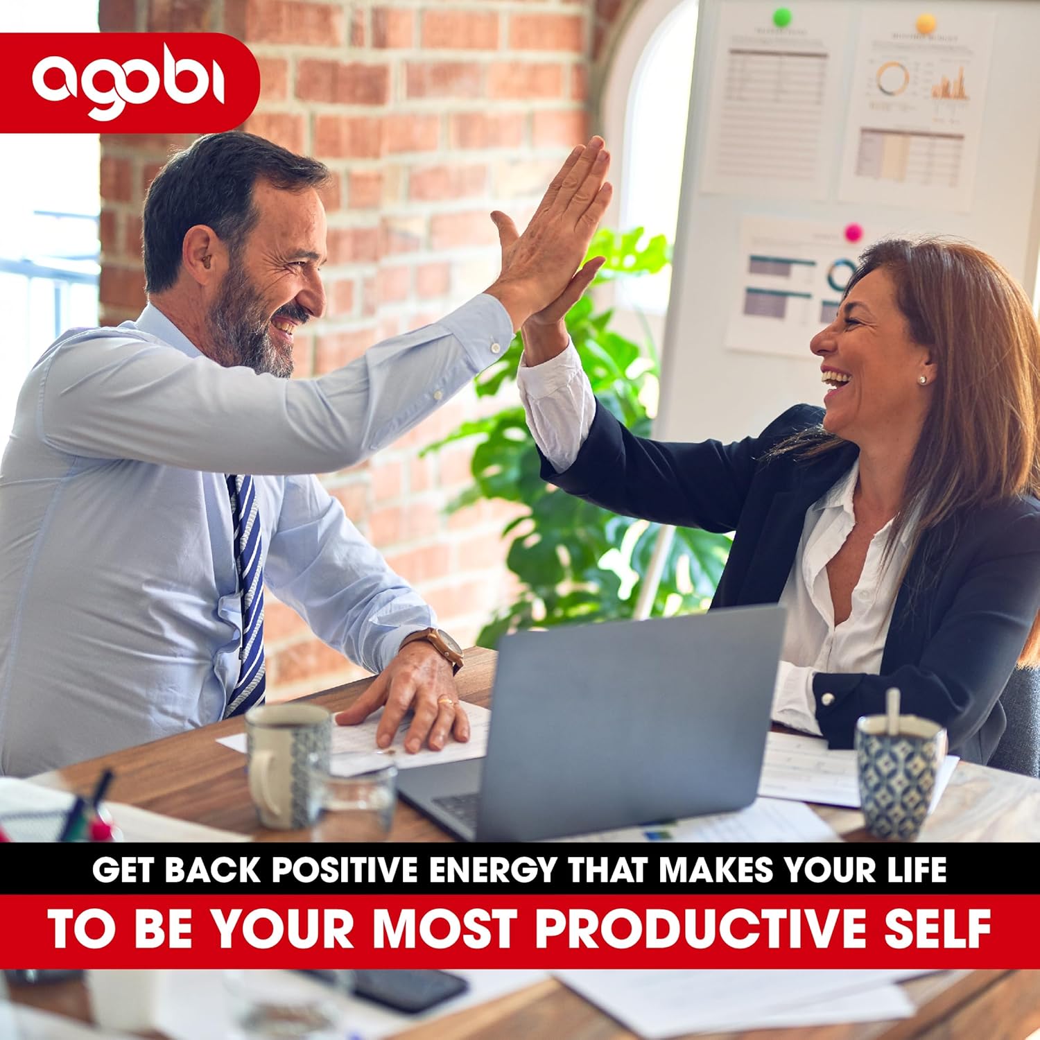 High Potency Ashwagandha and Ginkgo Biloba Supplement for Immune Support, Energy, Memory, and Focus - 240 Vegetarian Capsules