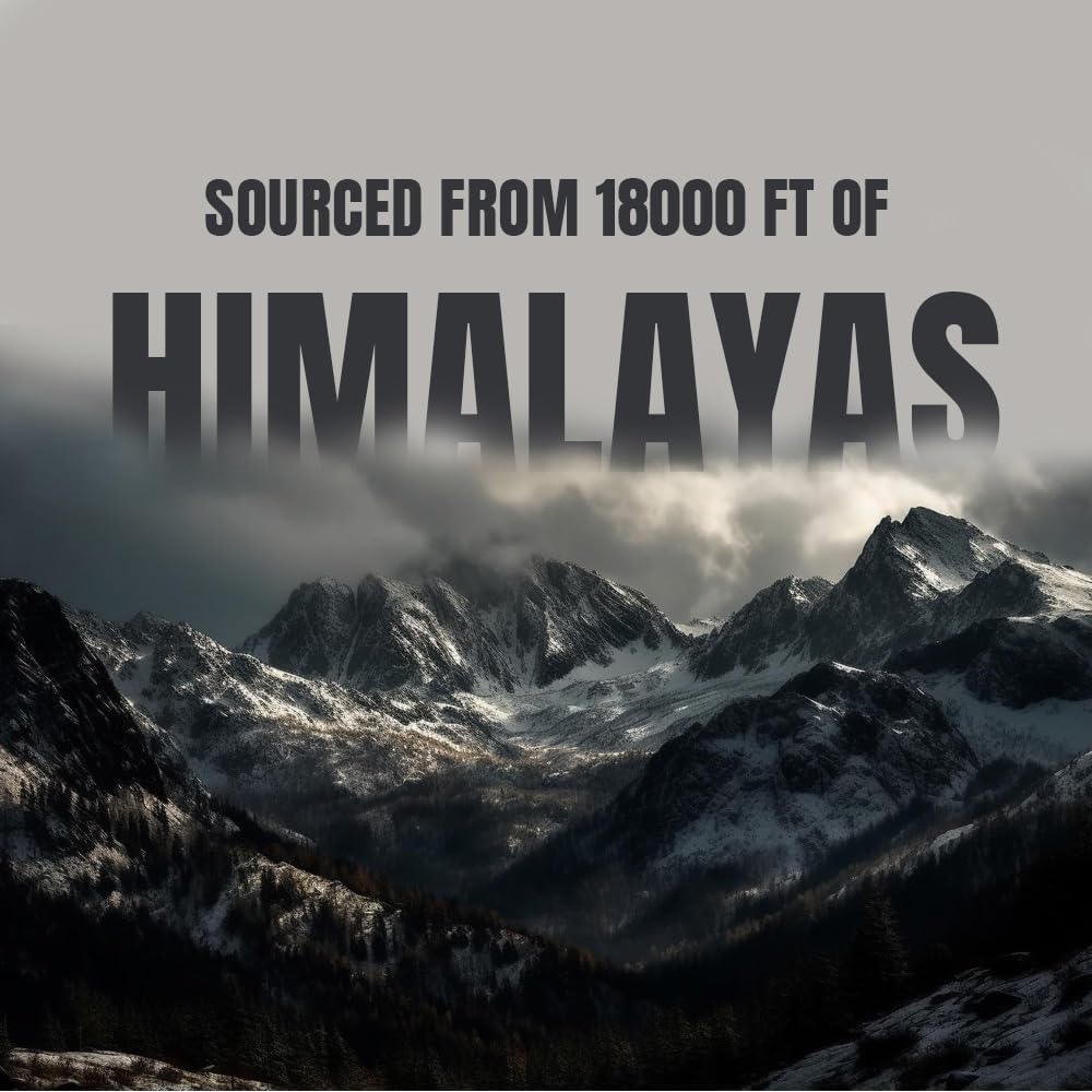 High Potency Bargad Pure Himalayan Shilajit Resin for Energy Boost & Immune Support | Lab Tested Gold Grade 100% Pure Shilajit with Fulvic Acid & 85+ Trace Minerals | 30 Gm for Men & Women